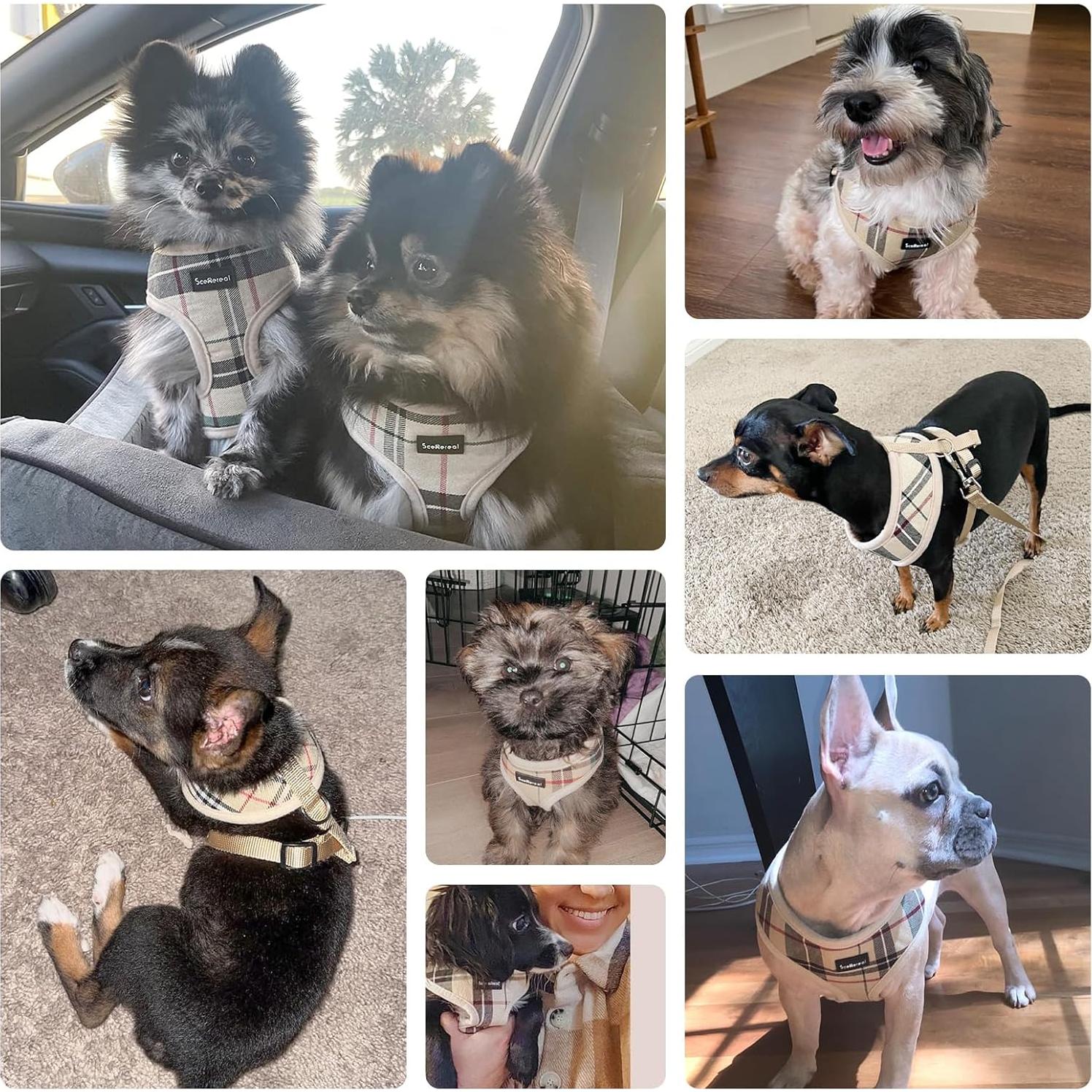 Arnés para Perro SCENEREAL XS Beige con Correa Ajustable