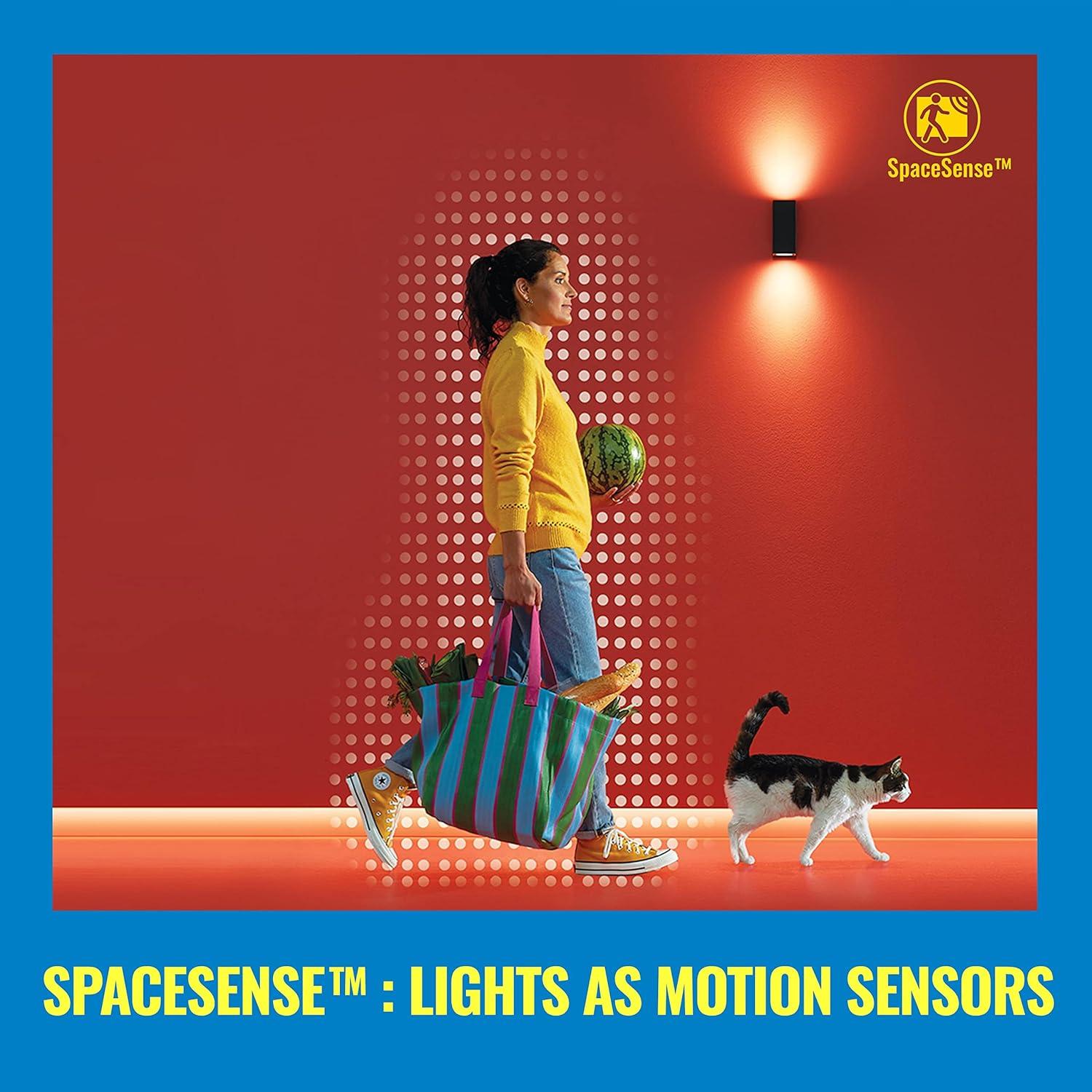 Bombilla LED Inteligente WiZ ST19 Color 300 Lúmenes E26