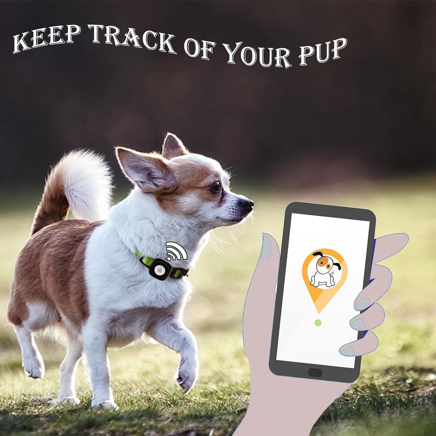 Soporte para Collar de Perro Bobo Rainbow - 2 Albaricoque