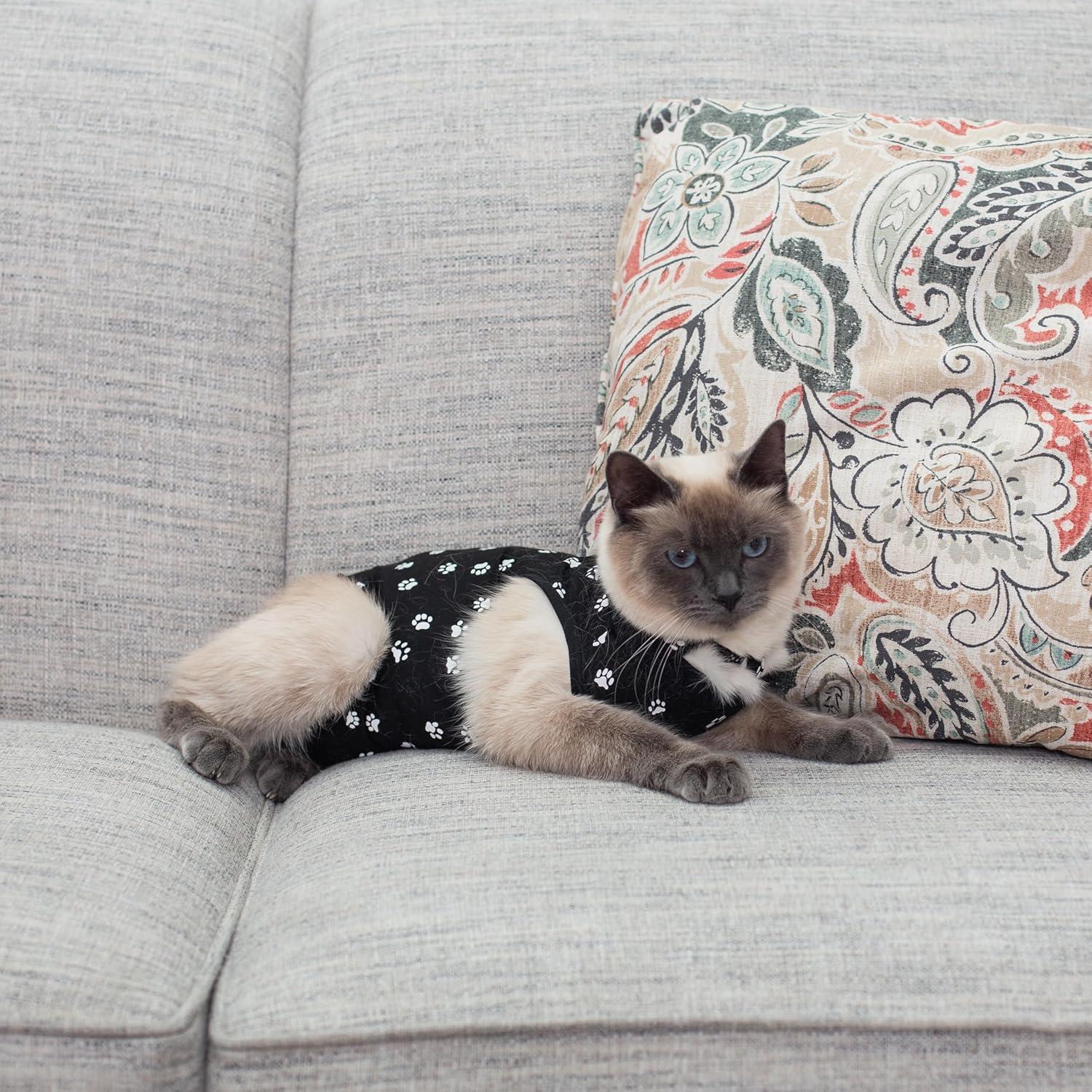 Mono postoperatorio para gatos Kedi Cats negro pequeño