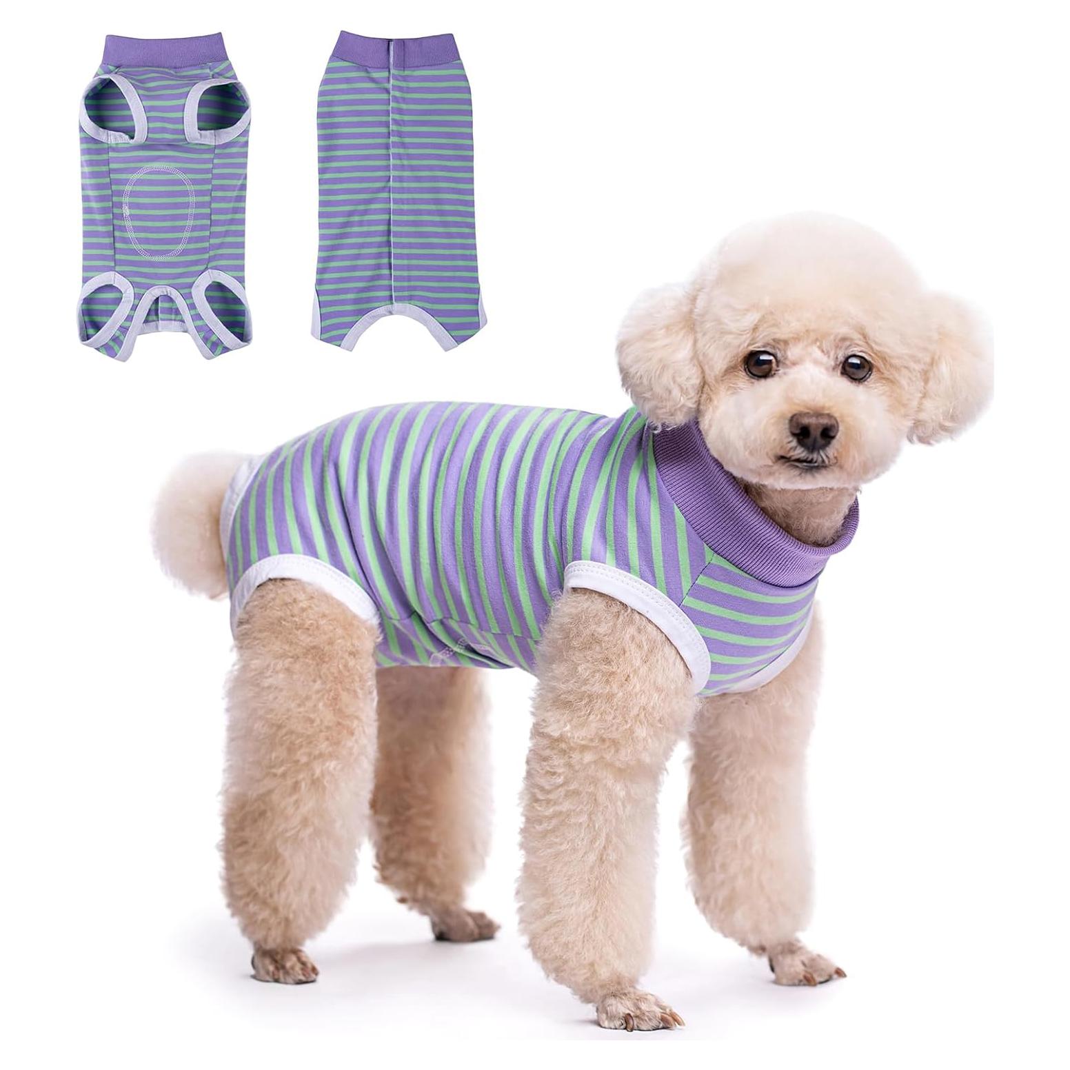 Traje de Recuperación para Perros TQFlow XS Rayas Verde y Púrpura
