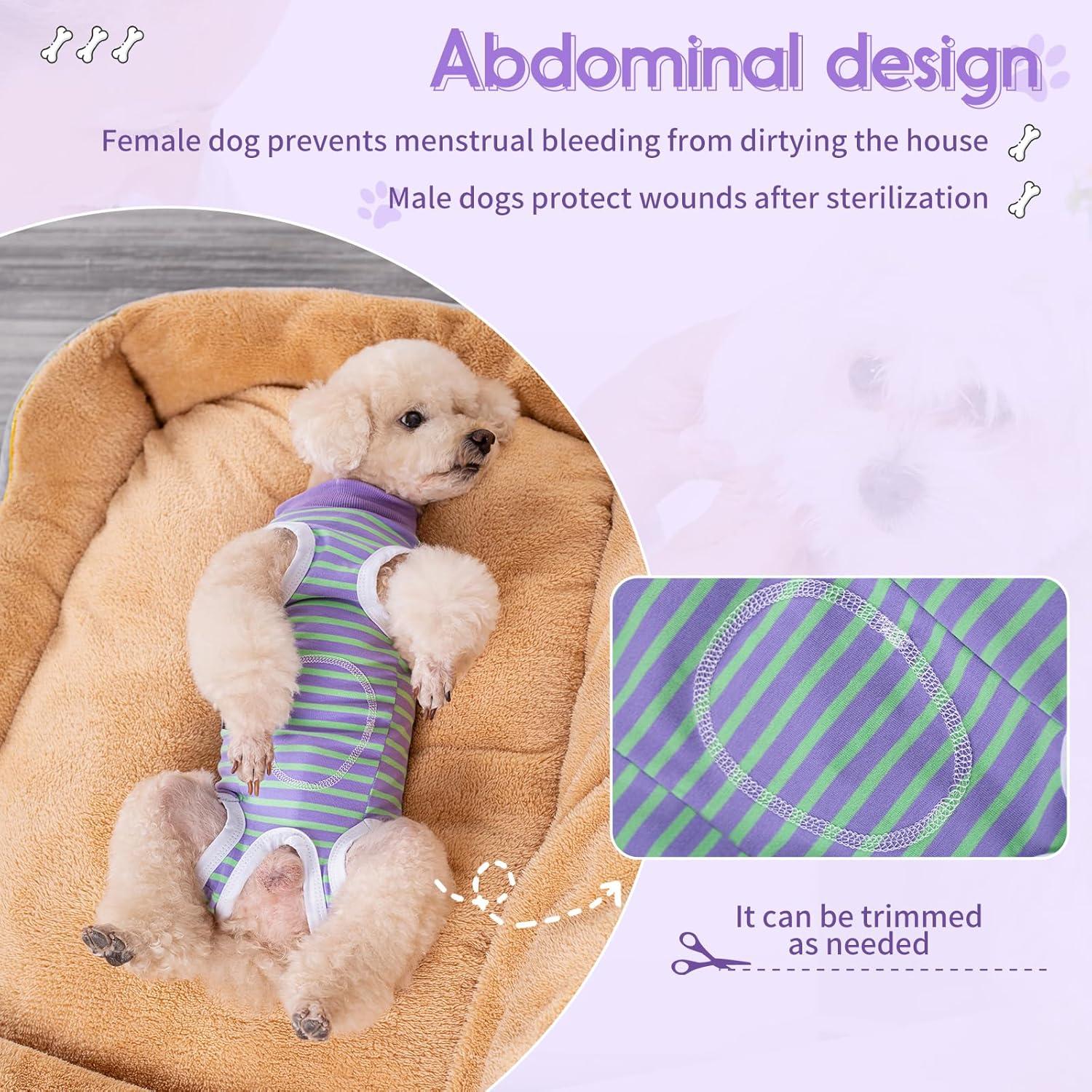 Traje de Recuperación para Perros TQFlow XS Rayas Verde y Púrpura