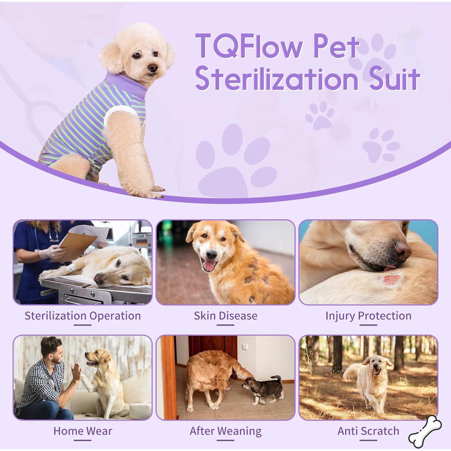 Traje de Recuperación para Perros TQFlow XS Rayas Verde y Púrpura