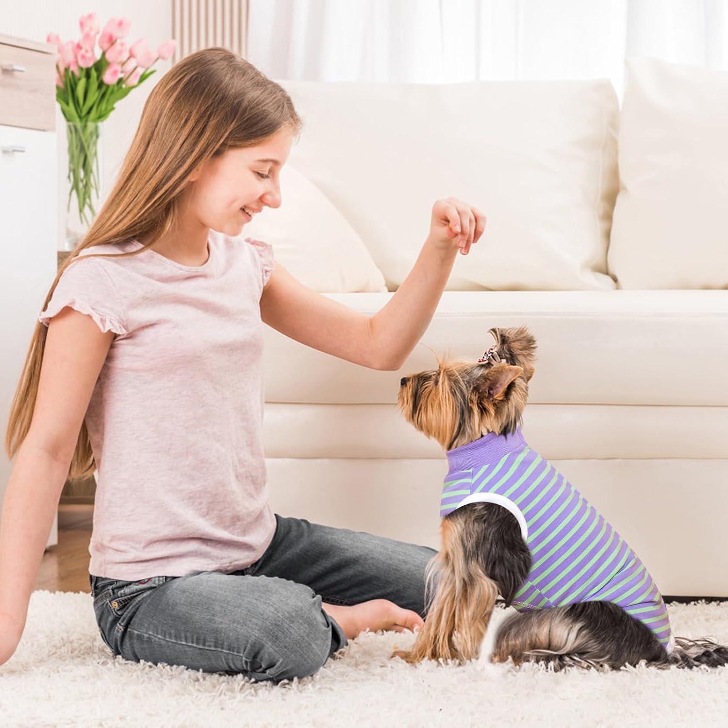 Traje de Recuperación para Perros TQFlow XS Rayas Verde y Púrpura