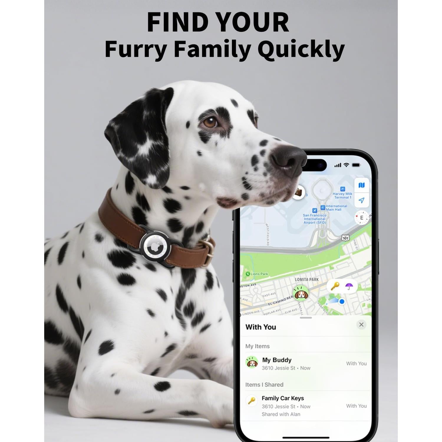 Soporte Airtag para Perro WhoseID Negro Pequeño Impermeable