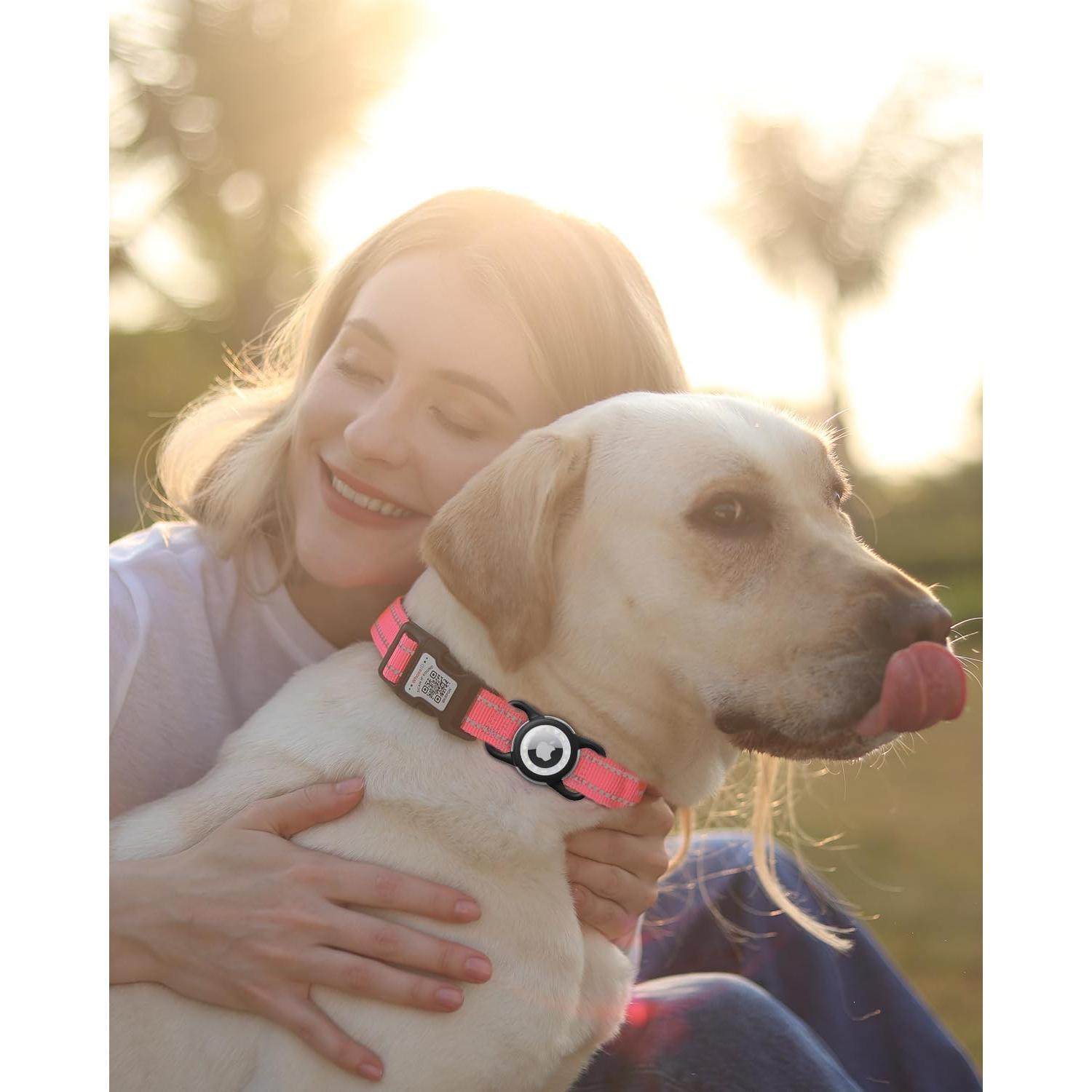 Soporte Airtag para Perro WhoseID Negro Pequeño Impermeable