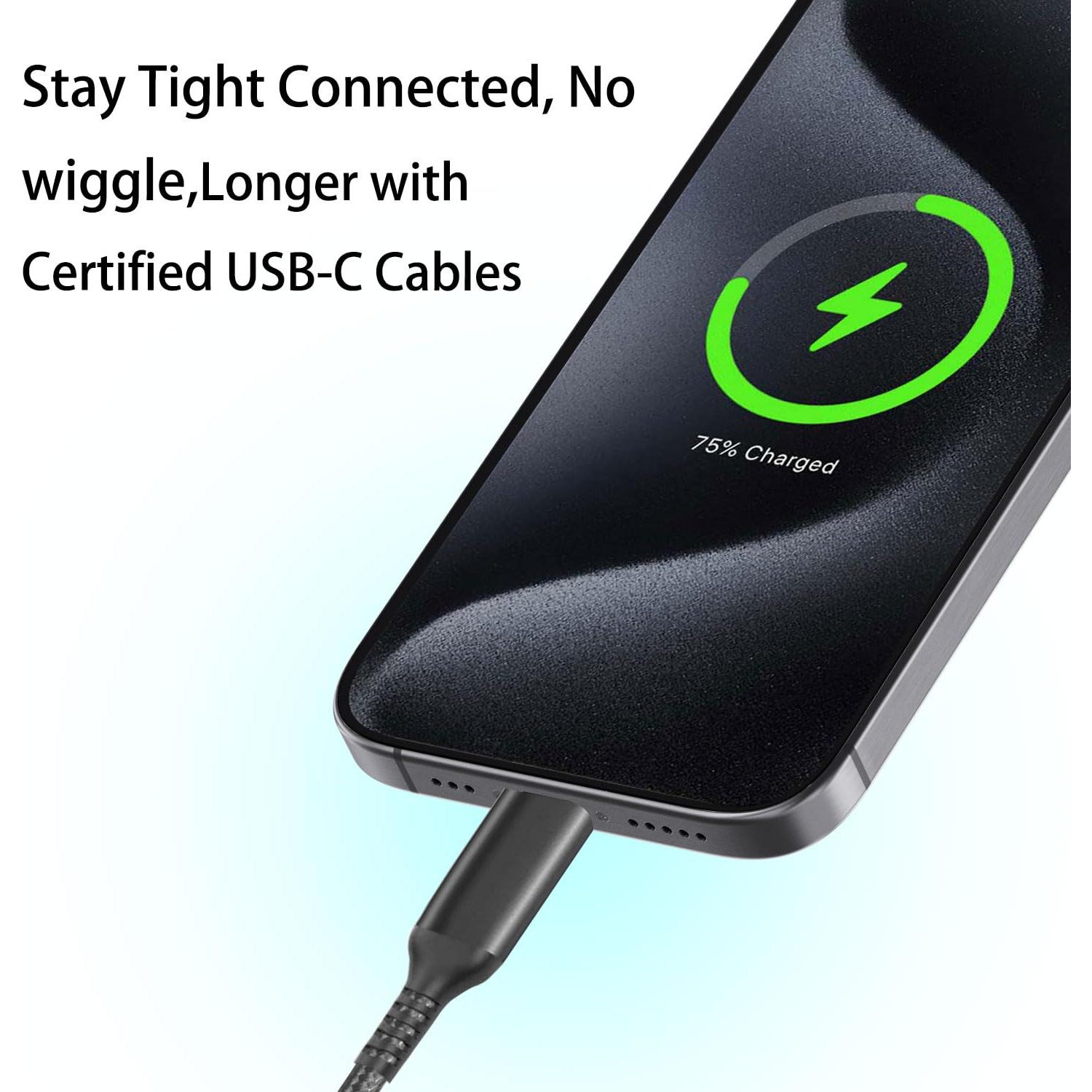 Cable de Carga Rápida USB Tipo C Awnuwuy 10FT Gris