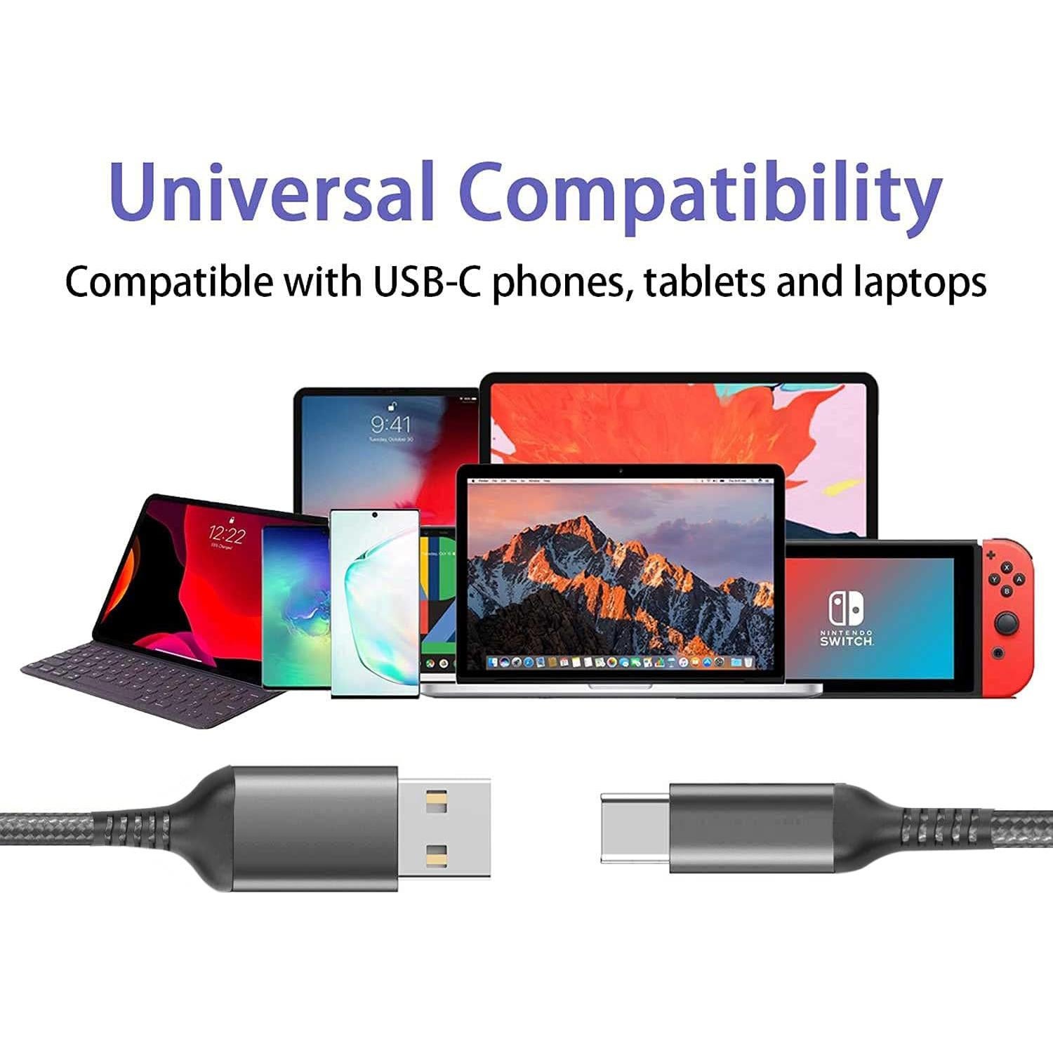 Cable de Carga Rápida USB Tipo C Awnuwuy 10FT Gris