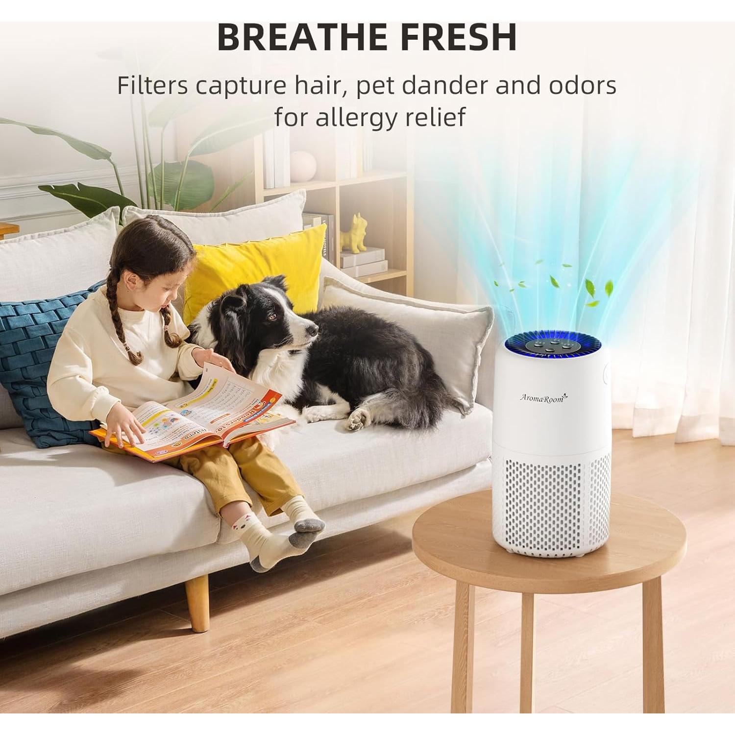 Purificador de Aire AromaRoom AP103-A HEPA H13 para Casa