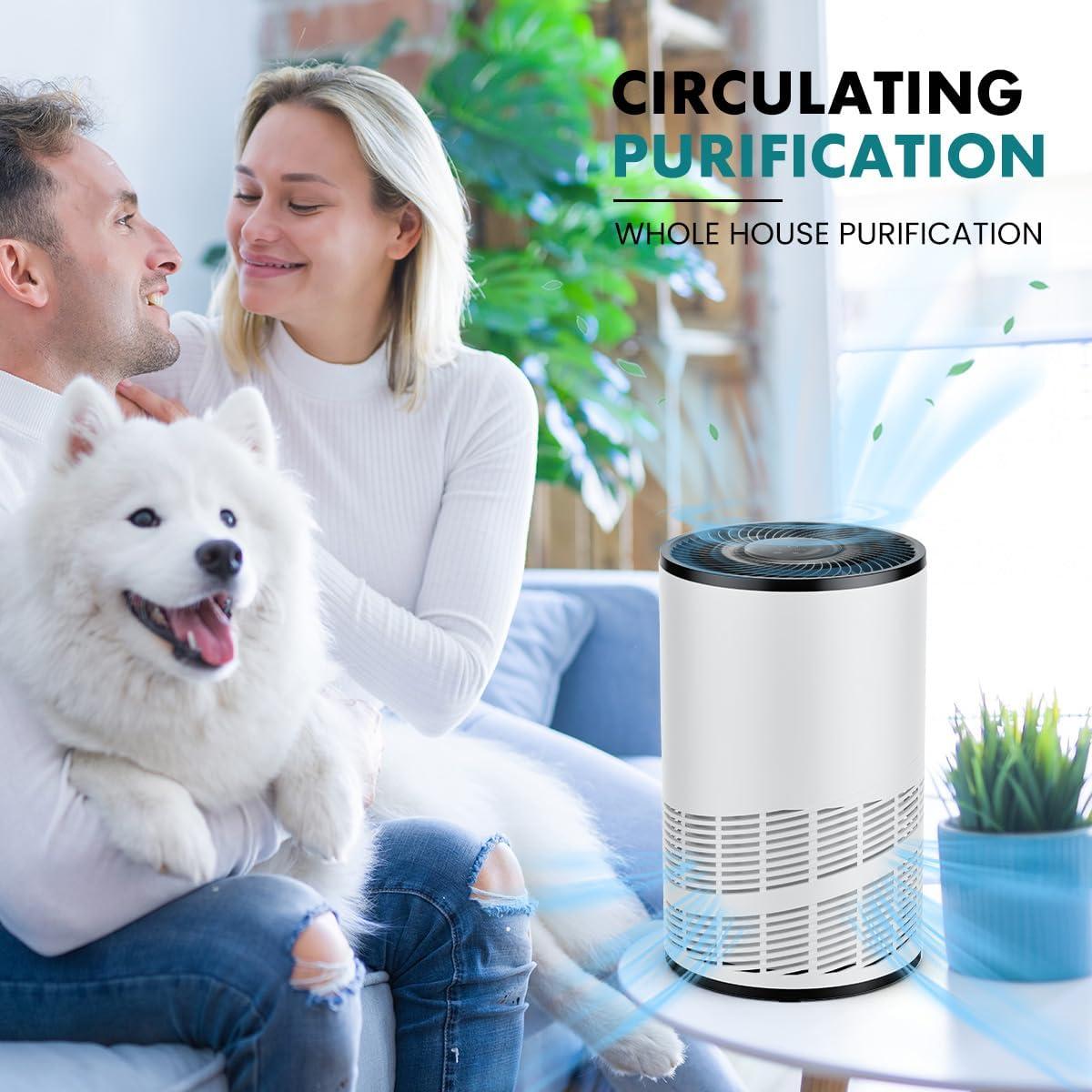 Purificador de Aire Sweetcrispy JHQ-D22-WT HEPA 3-en-1 Blanco