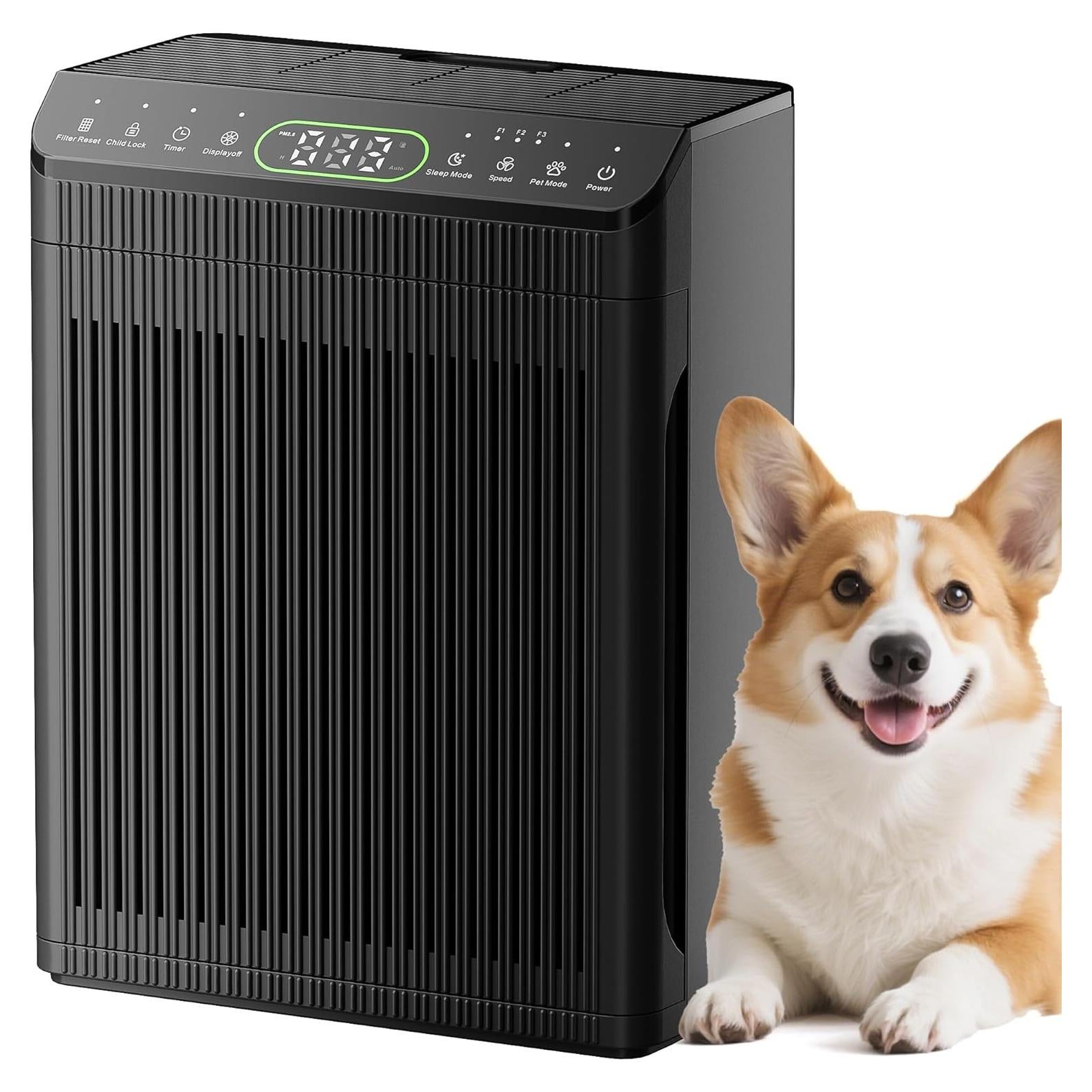 Purificador de Aire EVALIT para Habitaciones Grandes 204.39 m²