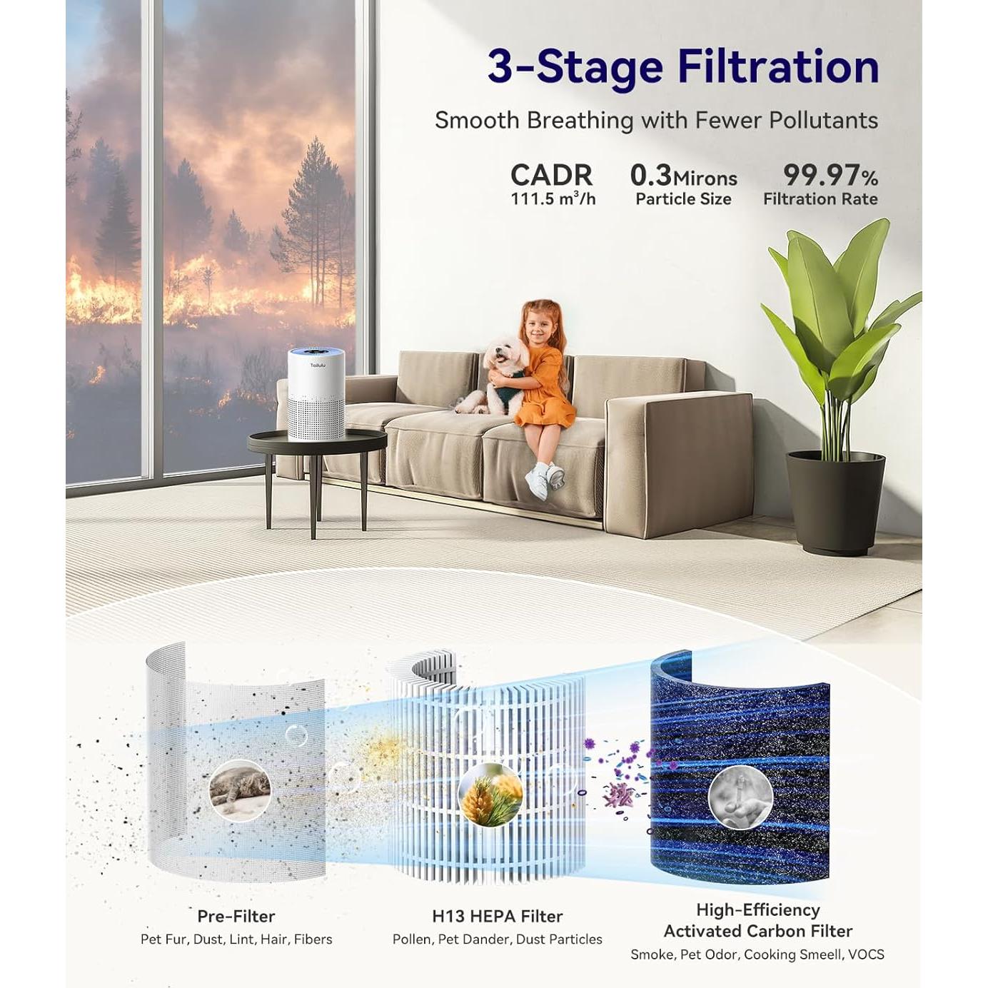 Purificador de Aire HEPA Tailulu AP050 1200 m² Silencioso 12 dB