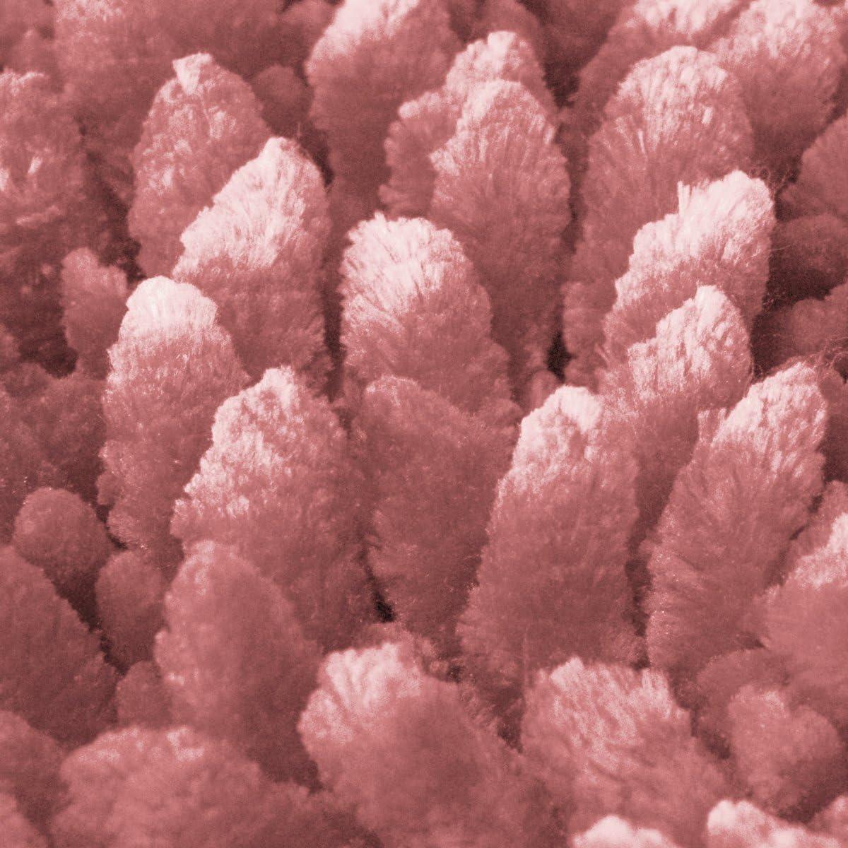 Conjunto de Alfombras de Baño 2 Piezas Sweet Home Rosa