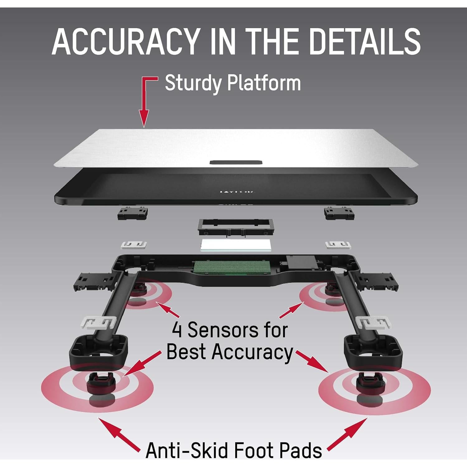 Báscula Digital de Piso Taylor Acero Inoxidable 181 kg
