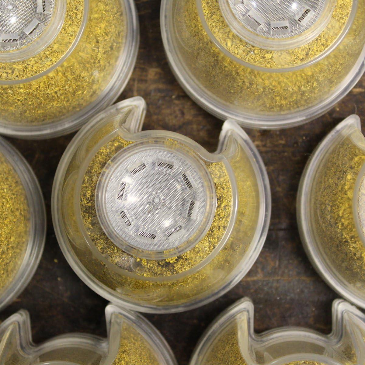 Cabezal de Ducha Filtrado Speakman S-2005-HBF 2.5 GPM Cromo