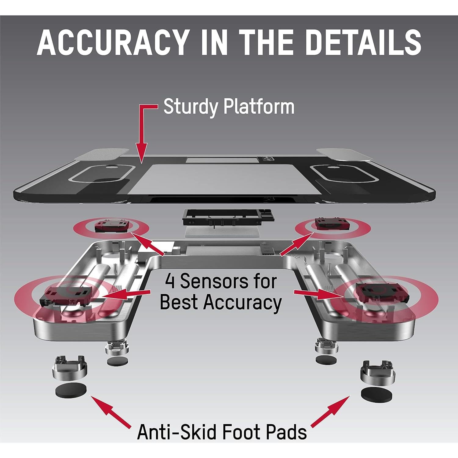Escala de Composición Corporal Digital Taylor 5793F - 181.4 kg