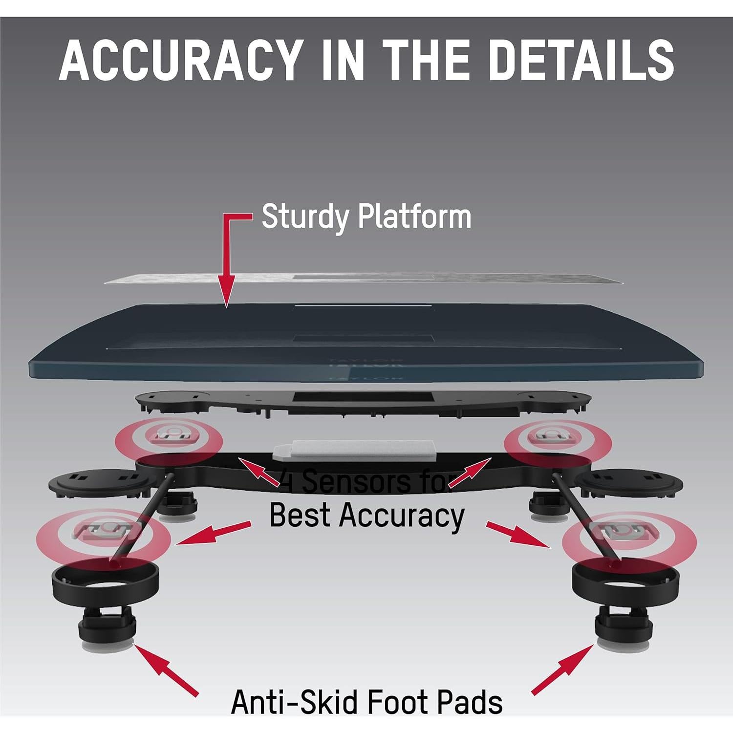 Báscula Digital Taylor de Baño Acero Inoxidable 440 LB