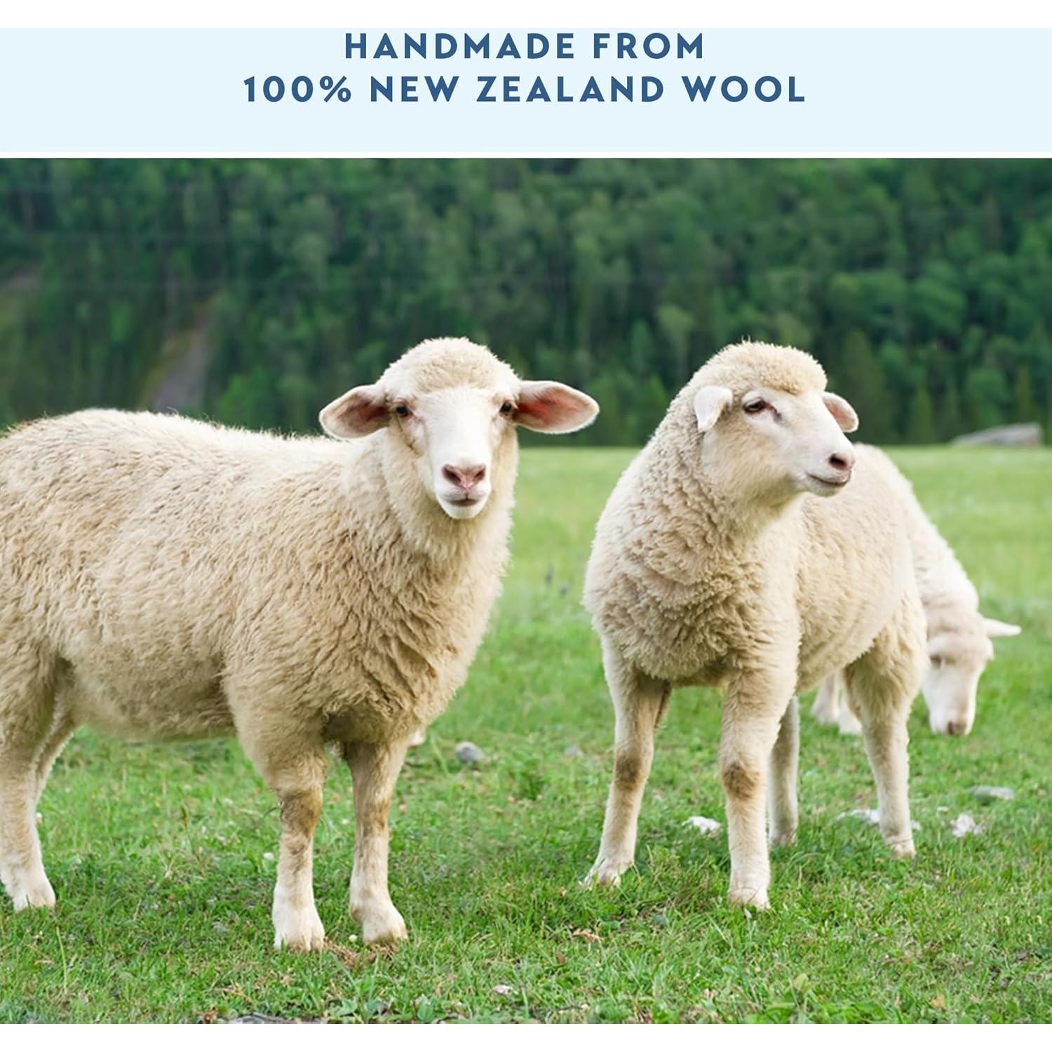 Bolas de Secado de Lana Zeal Concept 6-Pack XL Gris 100% Natural