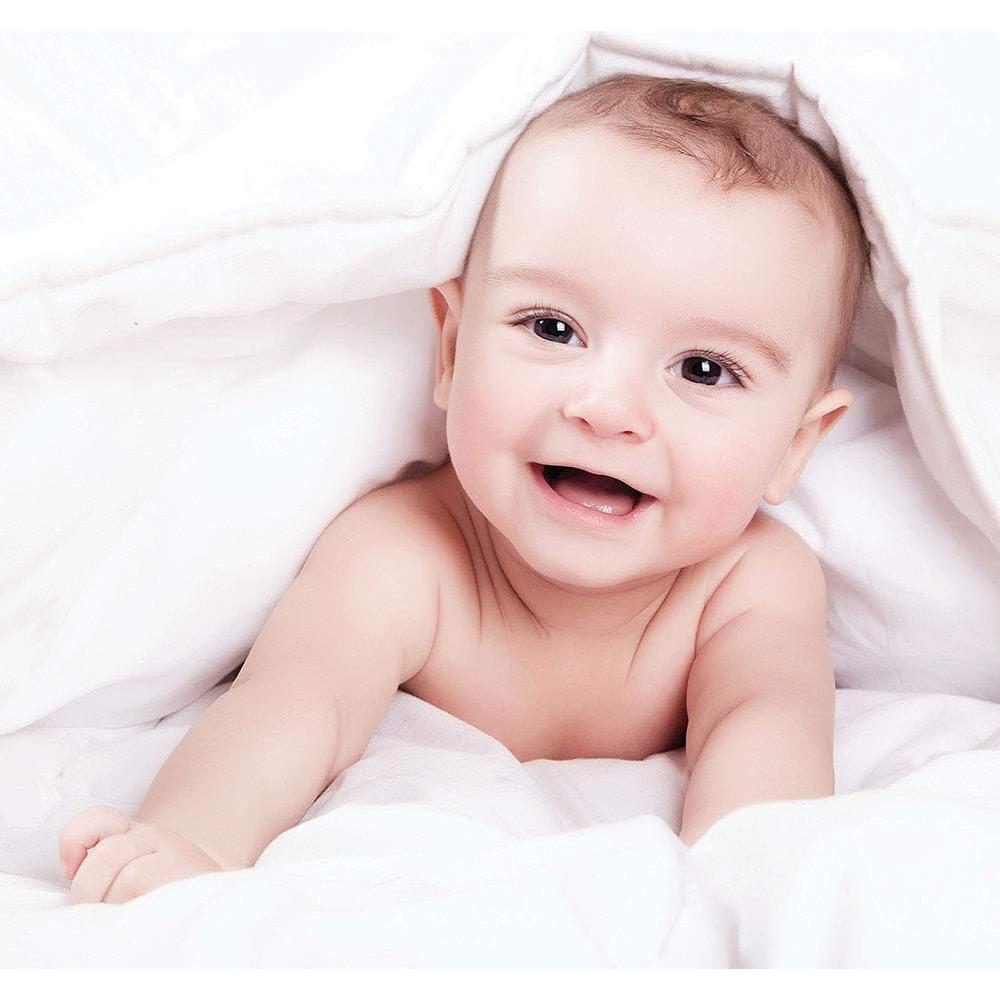 Bolas de Secado de Lana Orgánica Wool Works - 6 Unidades 56.7g