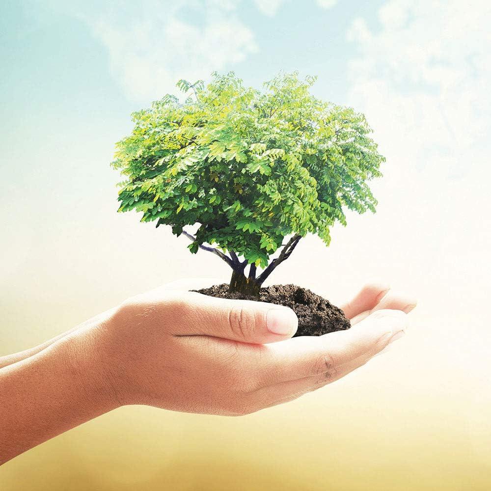 Bolas de Secado de Lana Orgánica Wool Works - 6 Unidades 56.7g