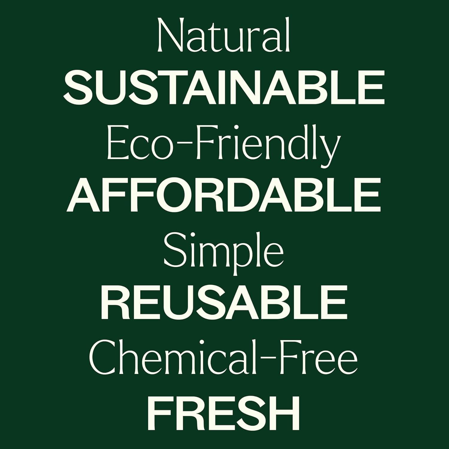 Plant Therapy Wool Dryer Balls 6-Pack & Sparkling Laundry Blends (3 Pack) 100% New Zealand Wool, Extra Large, Eco-Friendly, Reusable Natural Fabric Softener, All Natural & Chemical Free