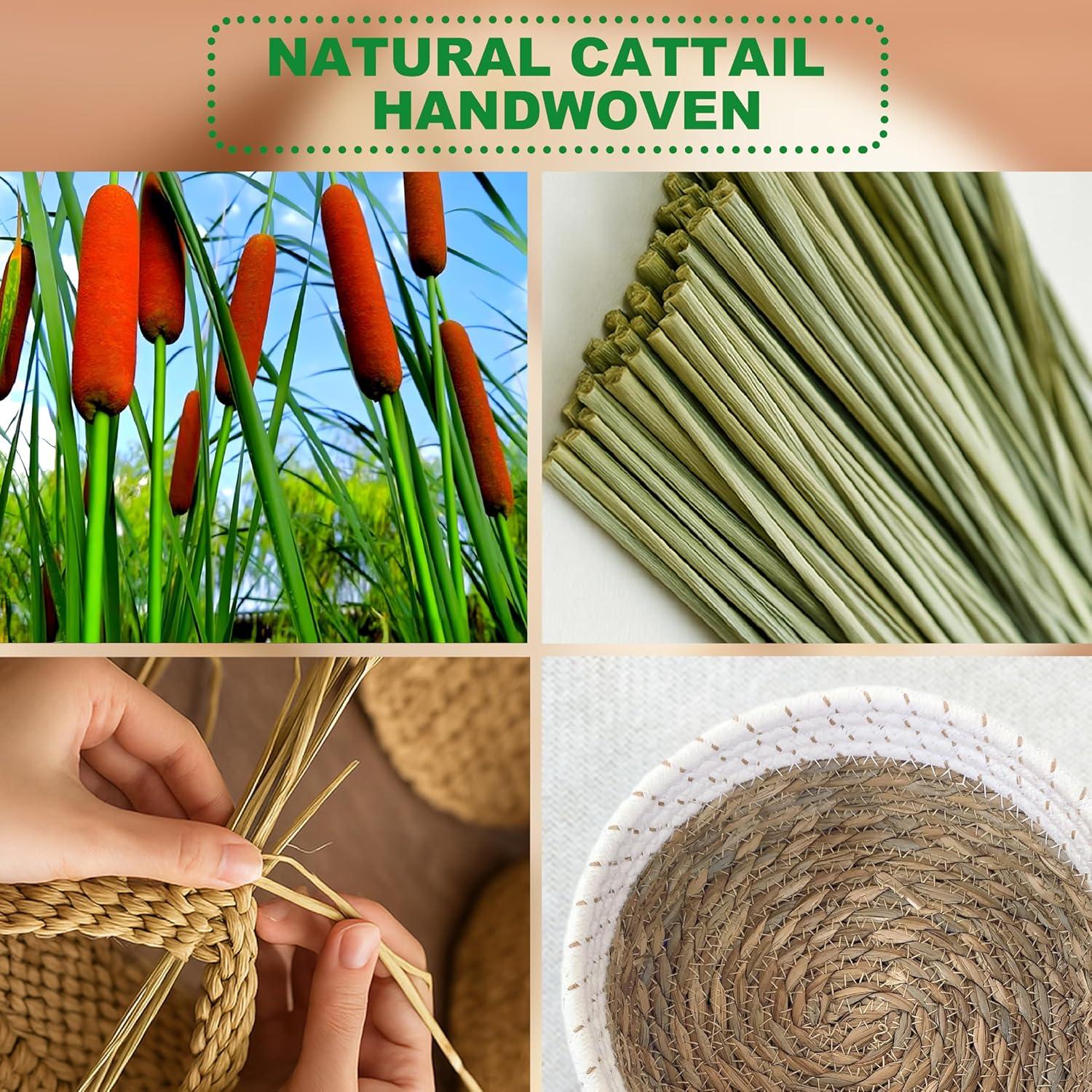 Juego de 7 Bolas de Secado de Lana Natural Read and Work