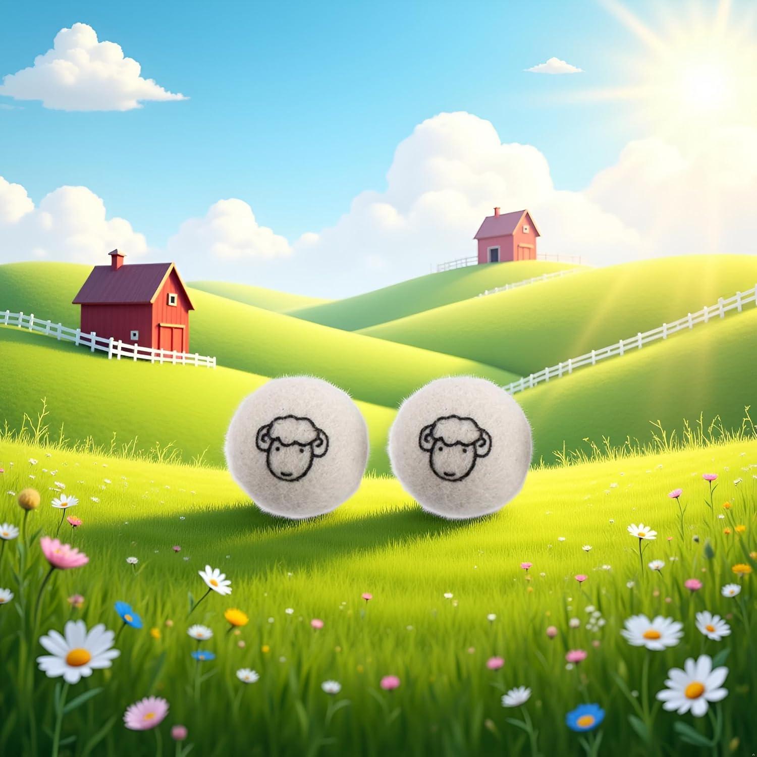 Bolas de Secadora de Lana Jizlan - Set de 2 Pcs Reutilizables