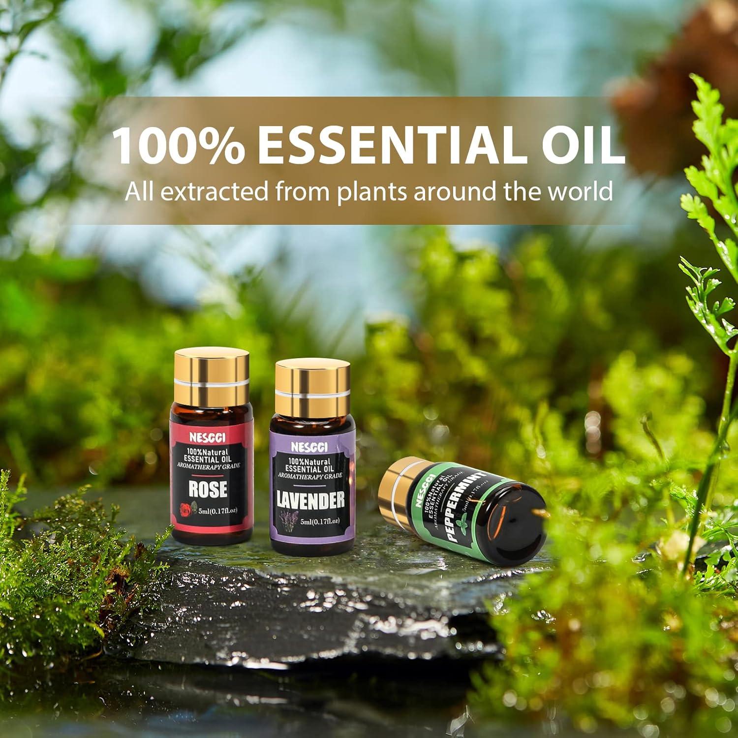 Juego de 36 Aceites Esenciales NESCCI 5ml - Regalo Aromático