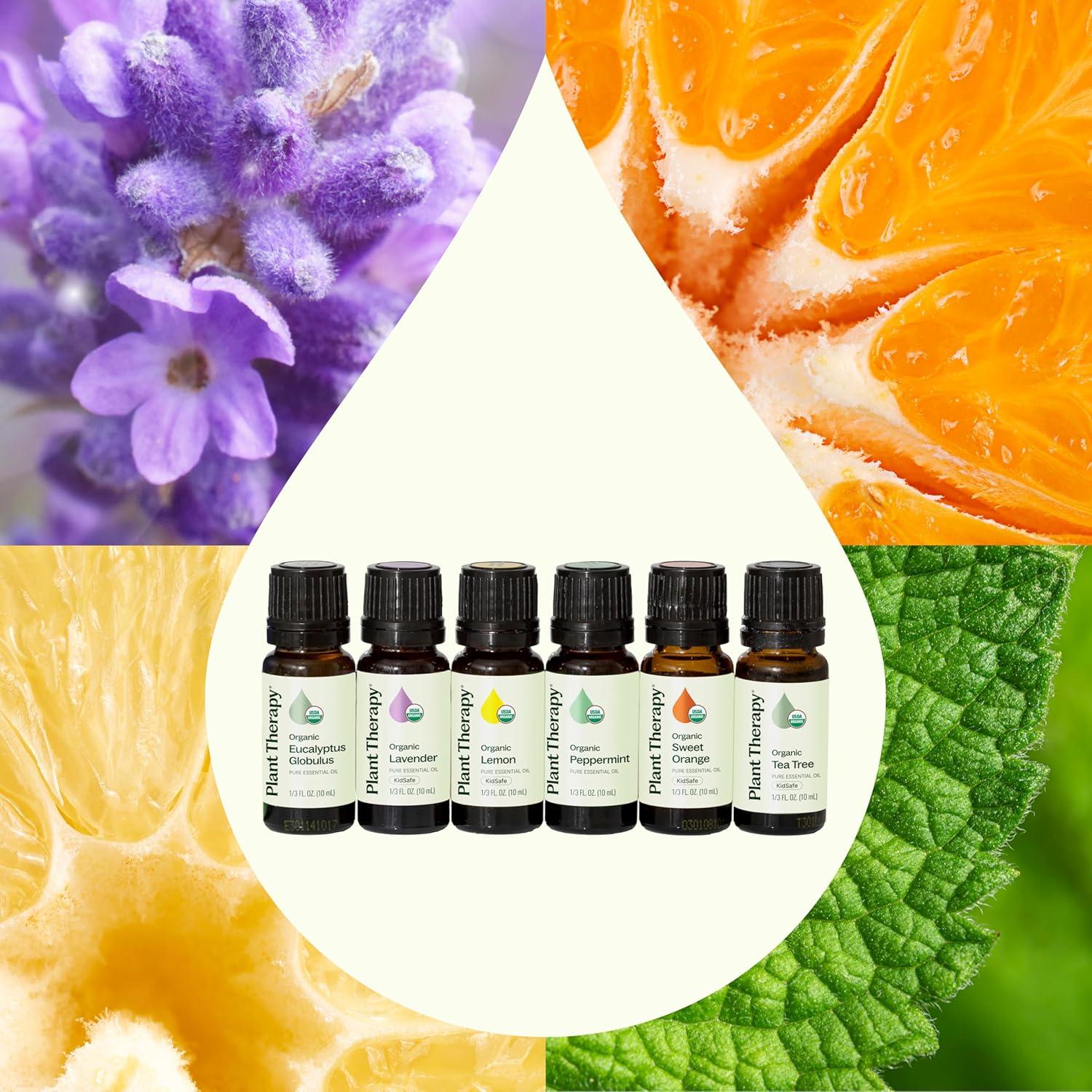 Juego de 6 Aceites Esenciales Orgánicos Plant Therapy 10 mL