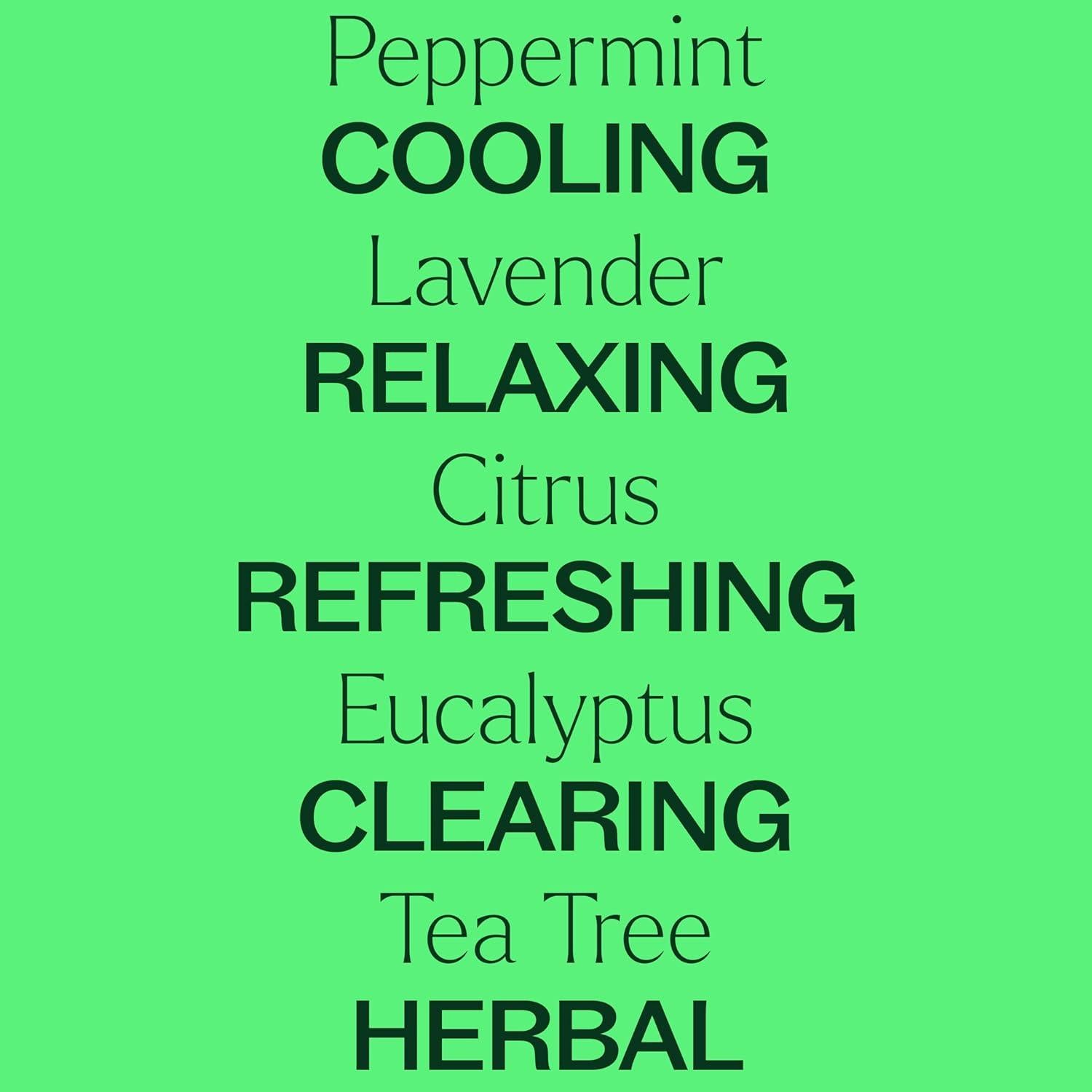 Juego de 6 Aceites Esenciales Orgánicos Plant Therapy 10 mL