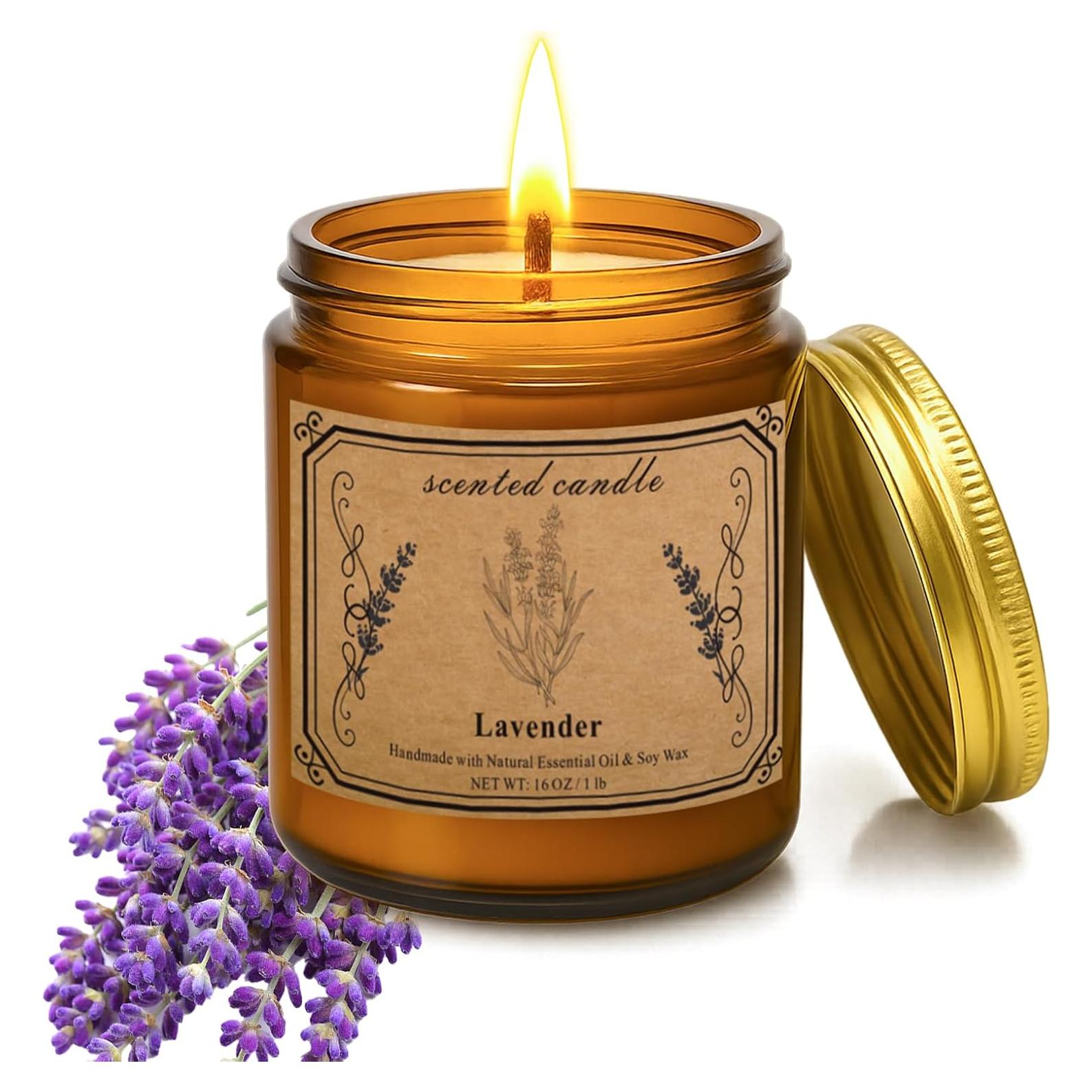 Vela Aromática Pootes de Cera de Soja 450g Lavanda 100h