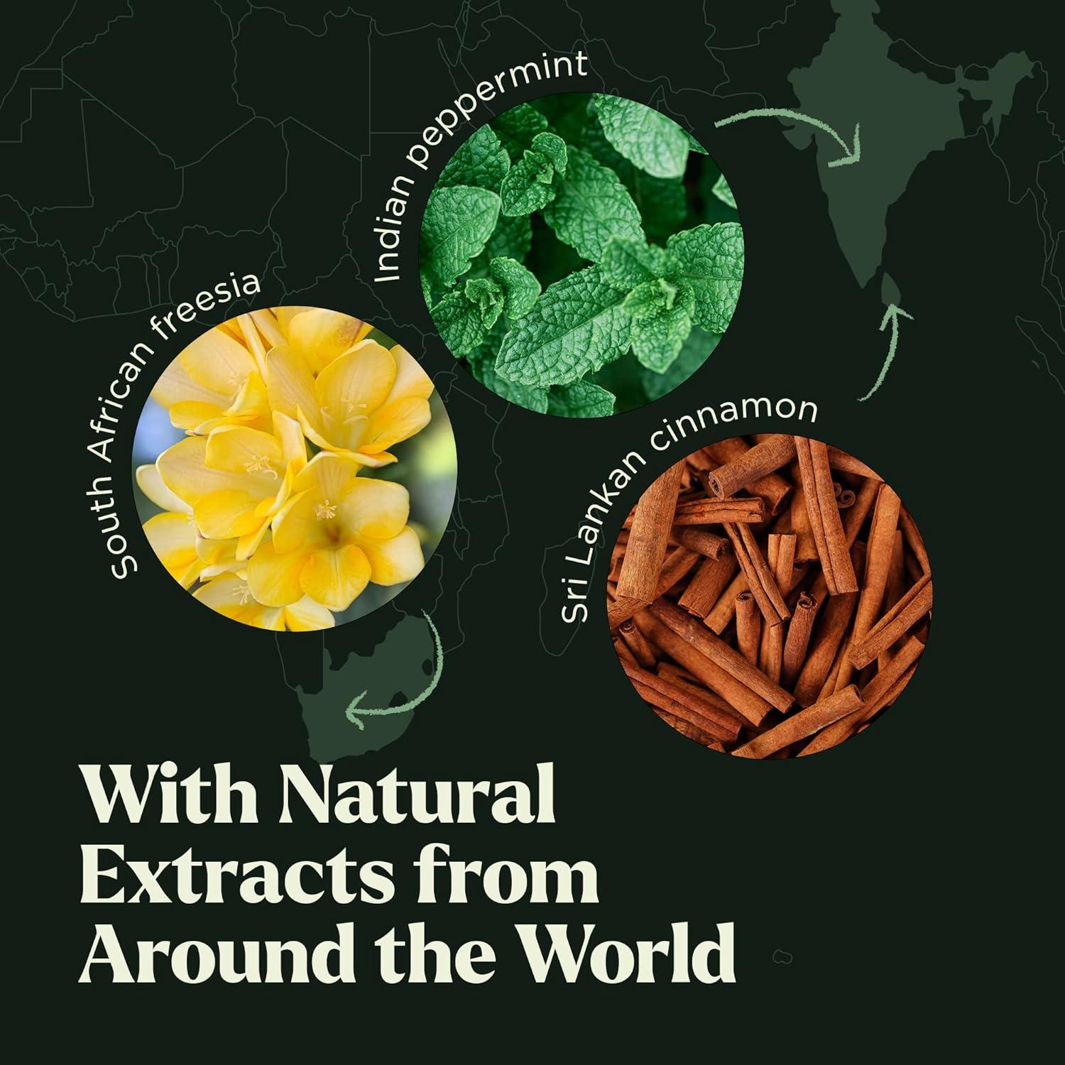 Set de Aceites Aromáticos Lagunamoon - 16 Piezas 10ml