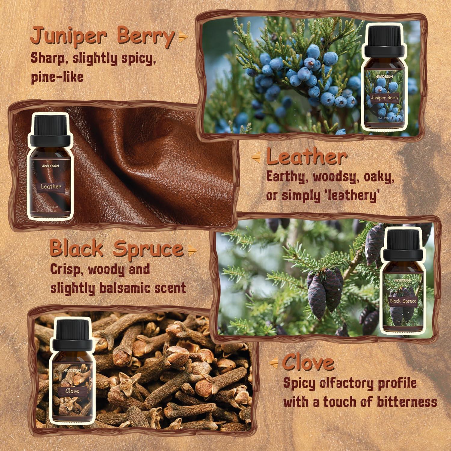 Juego de Aceites Esenciales Woody ARVIDSSON - 12 x 10ml Naturales