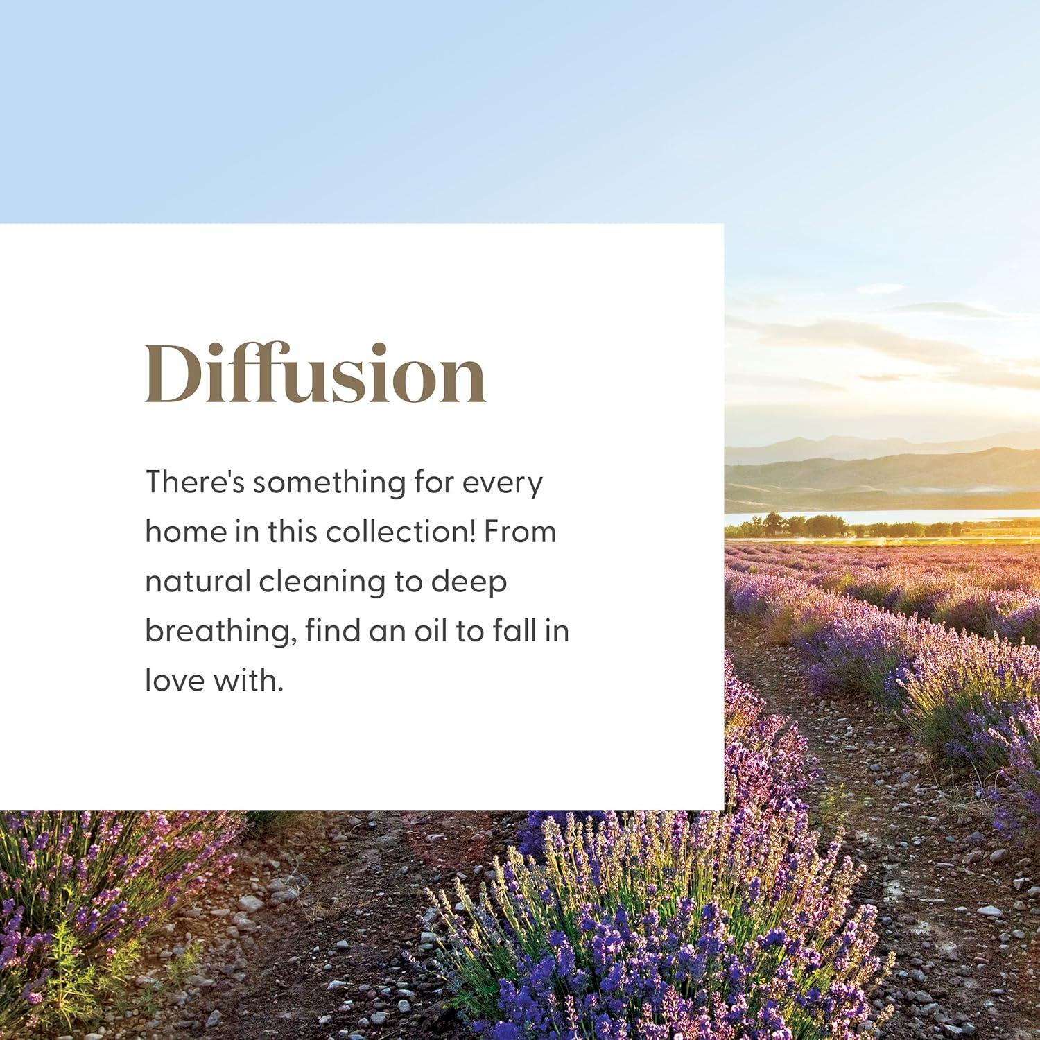 Set de Aceites Esenciales Young Living 100% Puros - 10 Mezclas