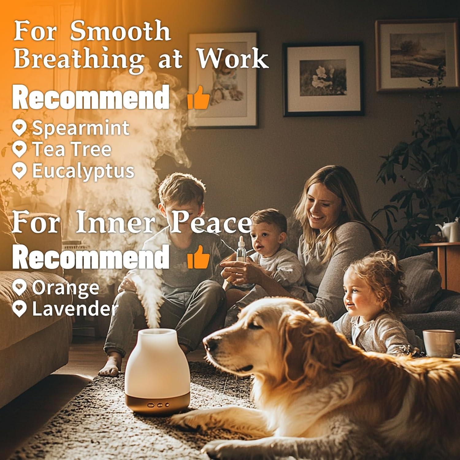 Juego de Aceites Esenciales MISIJI 5 Frascos 10ml para Difusor