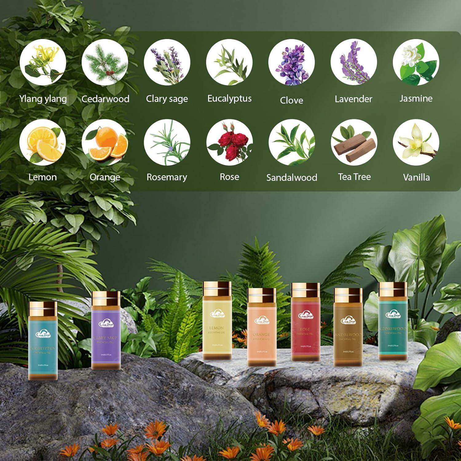 Juego de Aceites Esenciales 14 Piezas Comdian 5ml Aromaterapia