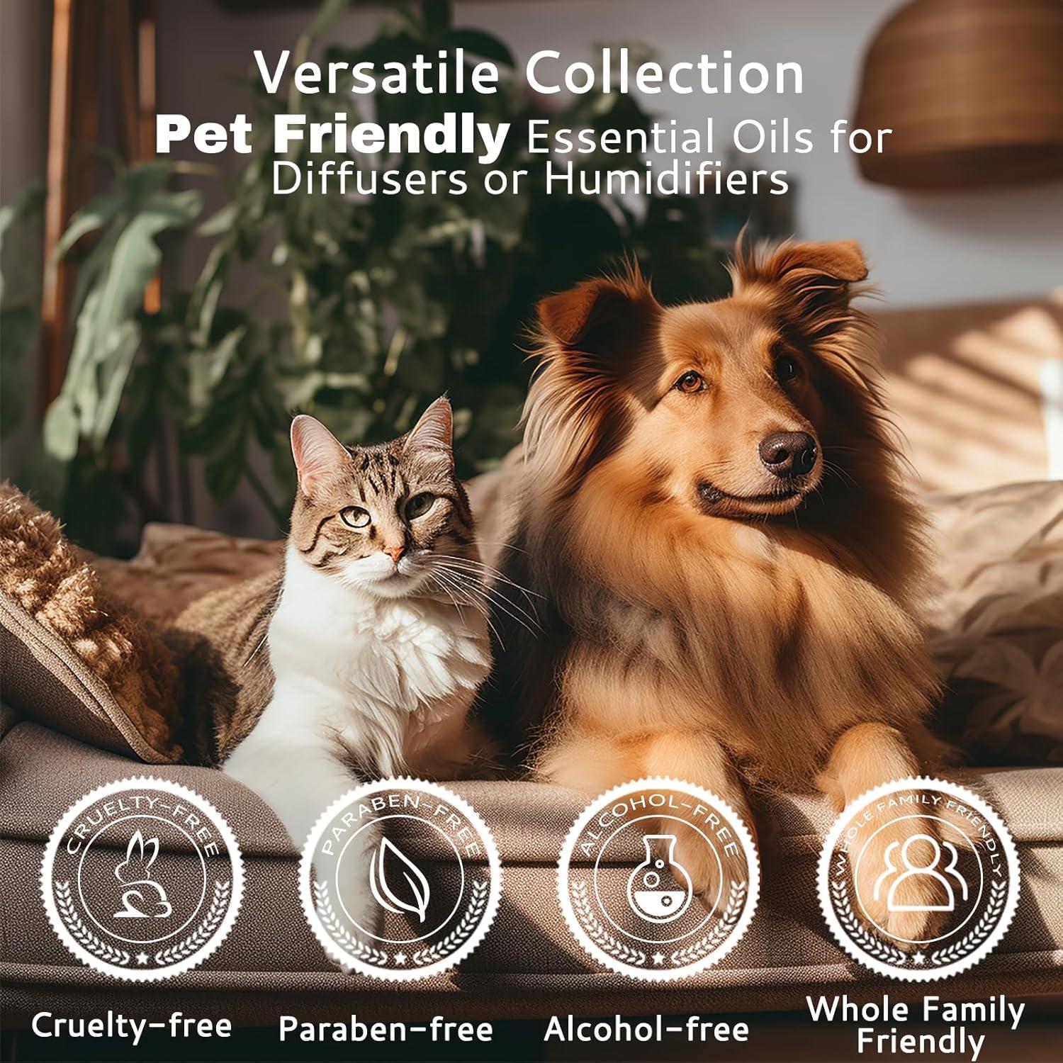 Set de 3 Aceites Esenciales Naturales LOXIM 10 ml - Calmantes