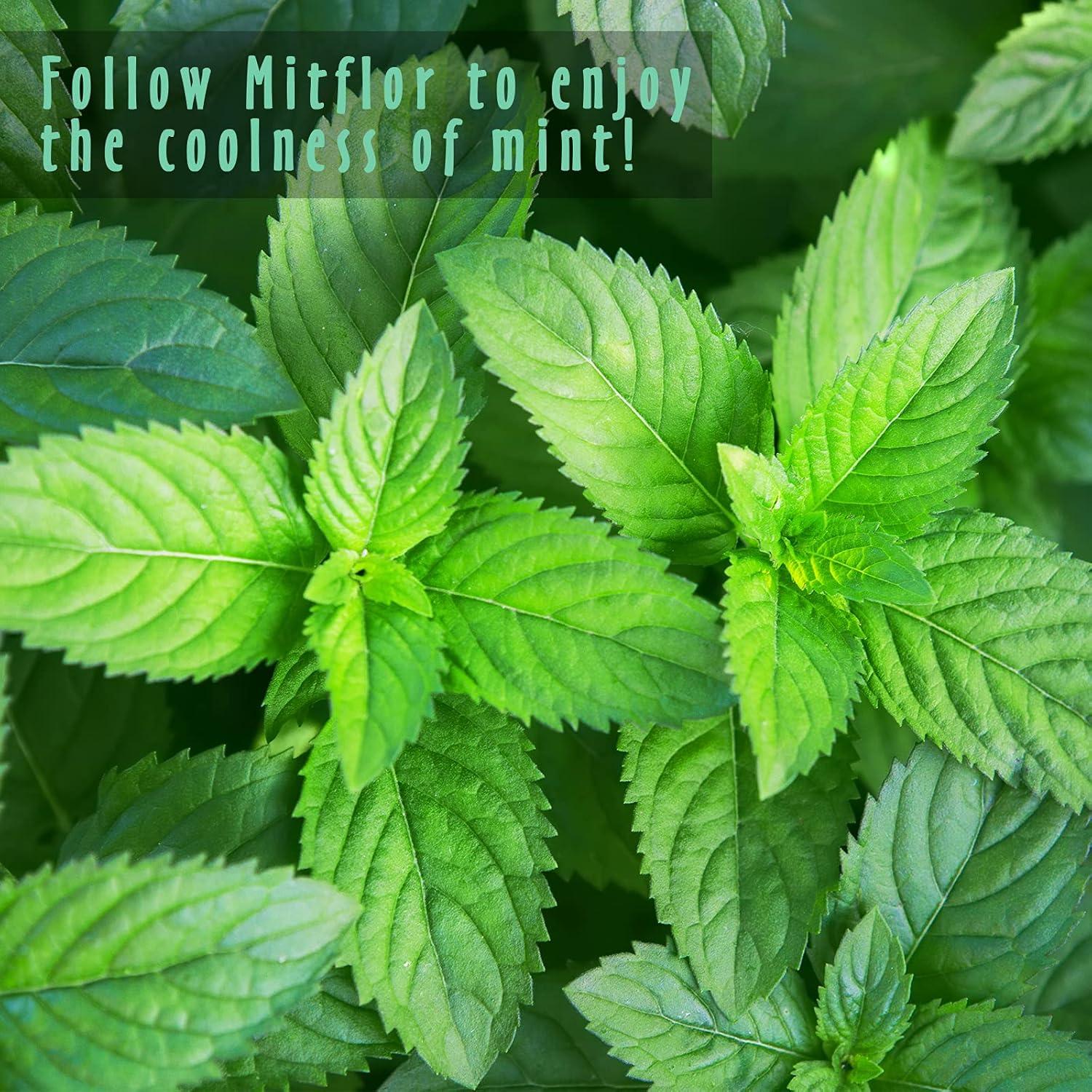 Juego de Aceites Aromáticos Premium MitFlor - Menta 6x10ml