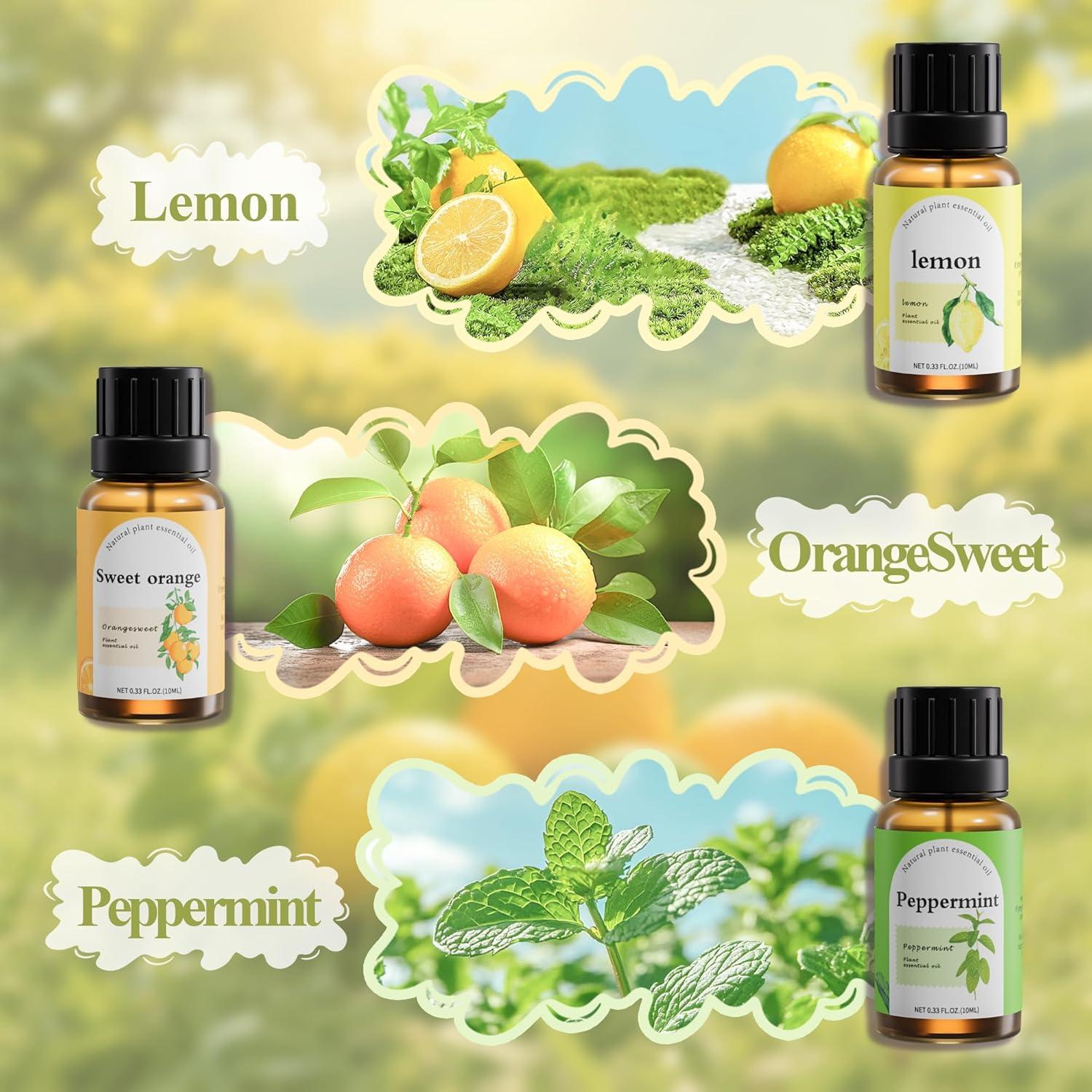 Juego de Aceites Esenciales 6 Mezclas Aromaterapia 10 mL