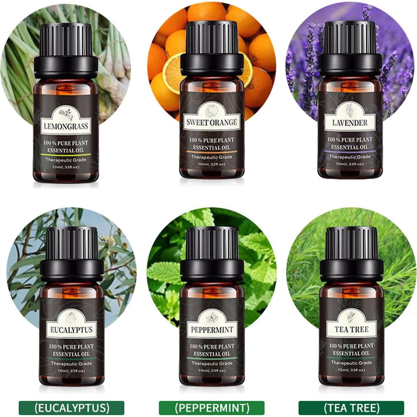 Juego de 6 Aceites Esenciales 10ml HimAoto - Lavanda, Menta, Eucalipto y más