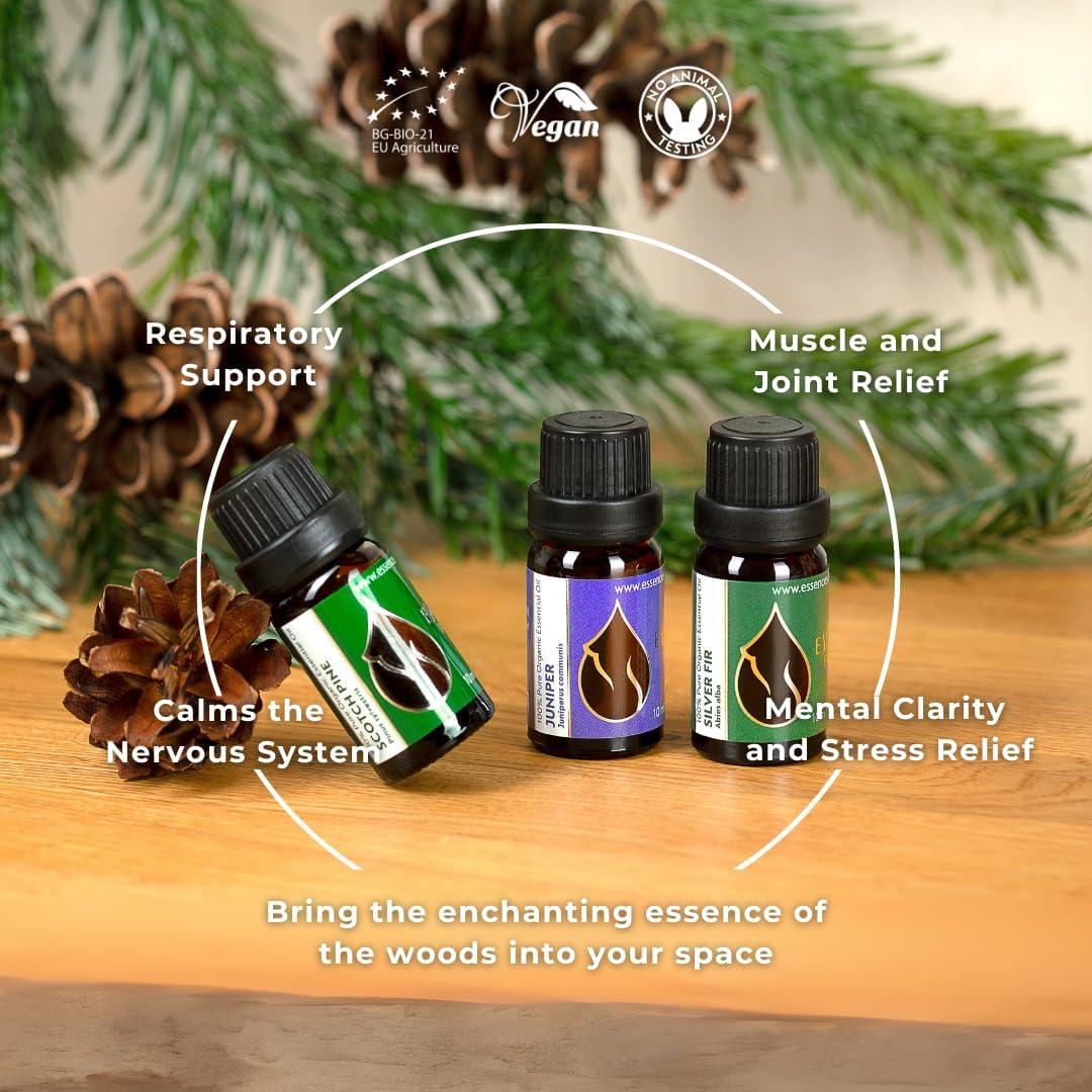 Set de Aceites Esenciales Orgánicos Magia del Bosque 3x10ml