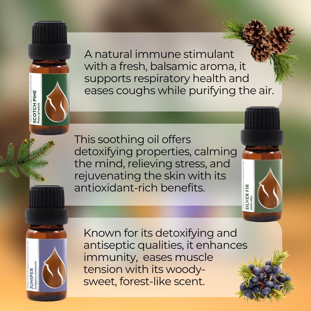 Set de Aceites Esenciales Orgánicos Magia del Bosque 3x10ml