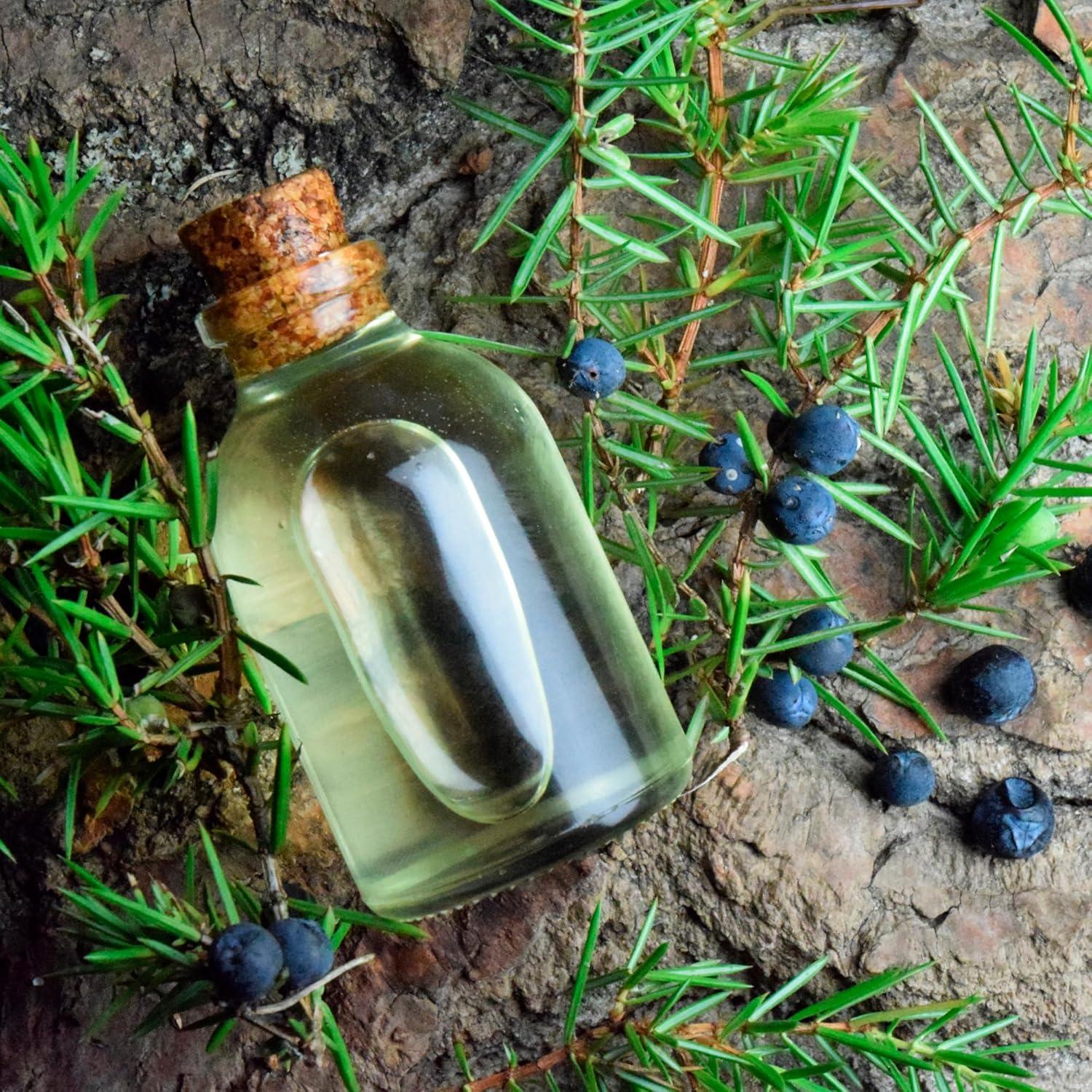 Set de Aceites Esenciales Orgánicos Magia del Bosque 3x10ml