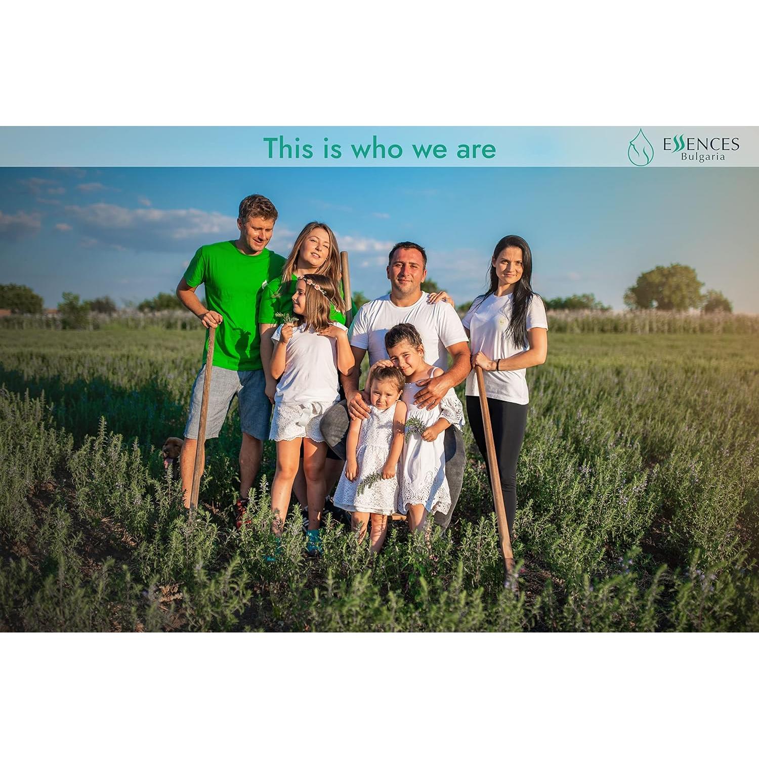 Set de Aceites Esenciales Orgánicos Magia del Bosque 3x10ml