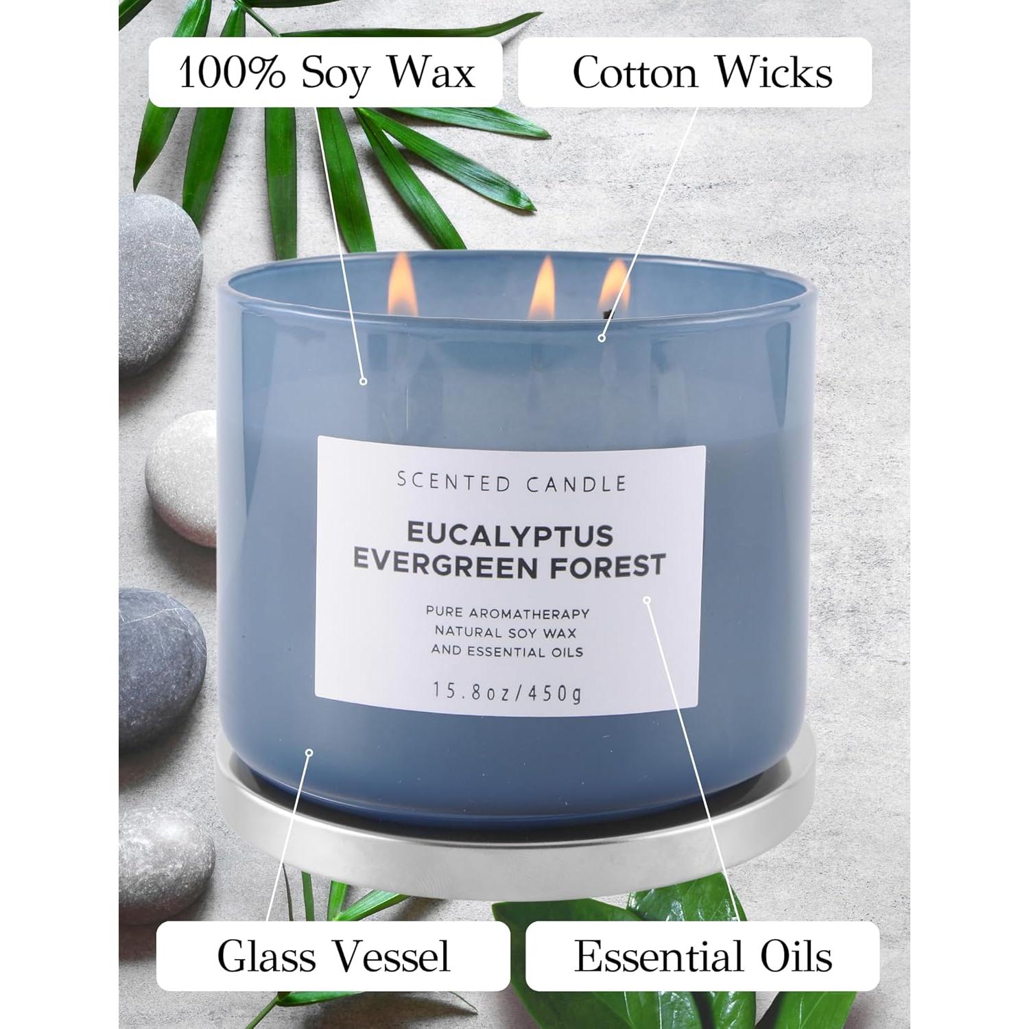 Vela de Soja 3 Mechas Eucalipto Bosque Perpetuo 448 g