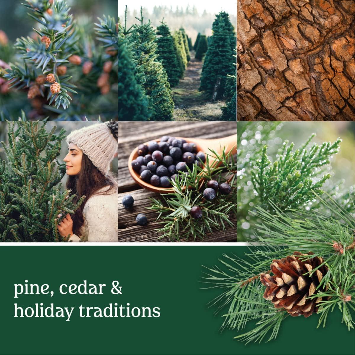 Vela Aromatizada Yankee Candle Balsamo y Cedro 22oz Doble Pabilo