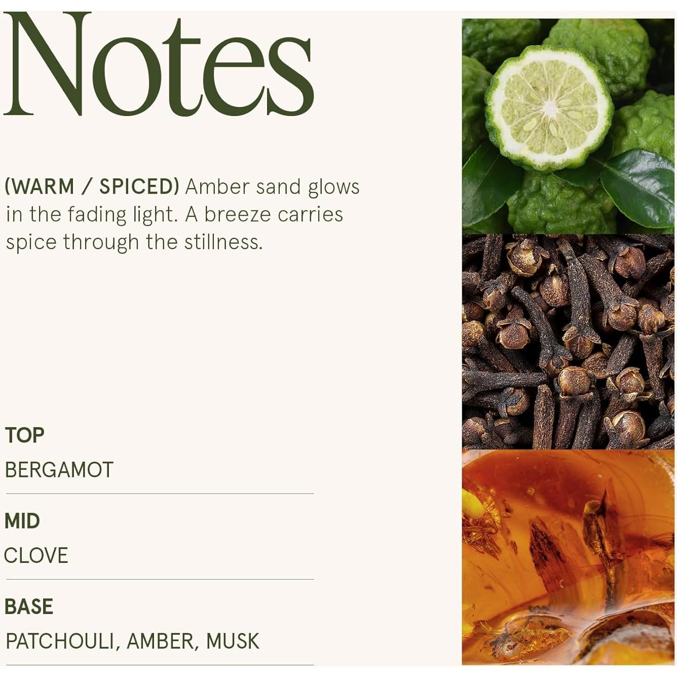 Vela de Soja LA JOLIE MUSE Ámbar del Sahara 10 oz