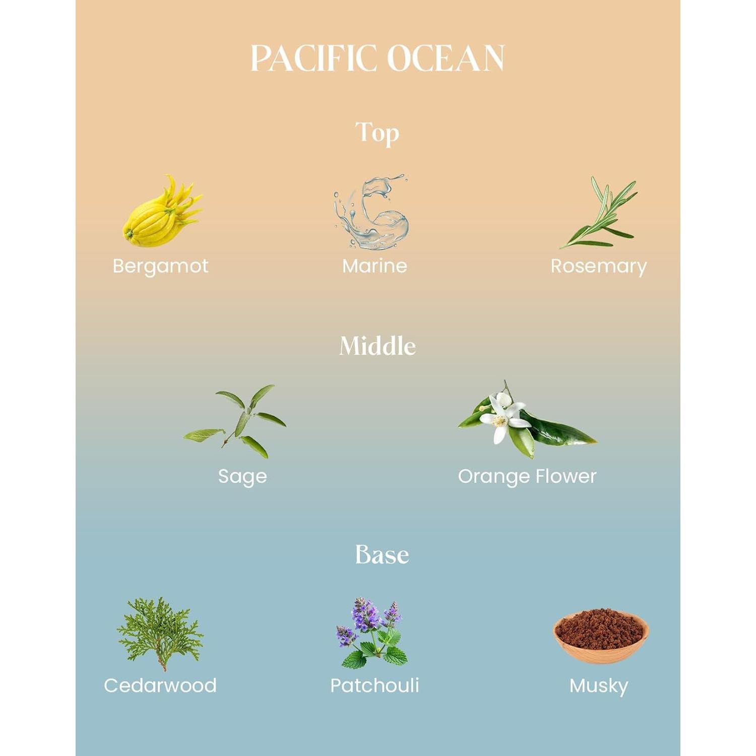 Vela Aromática M&SENSE Océano 300g Cera de Soja 60h Quema