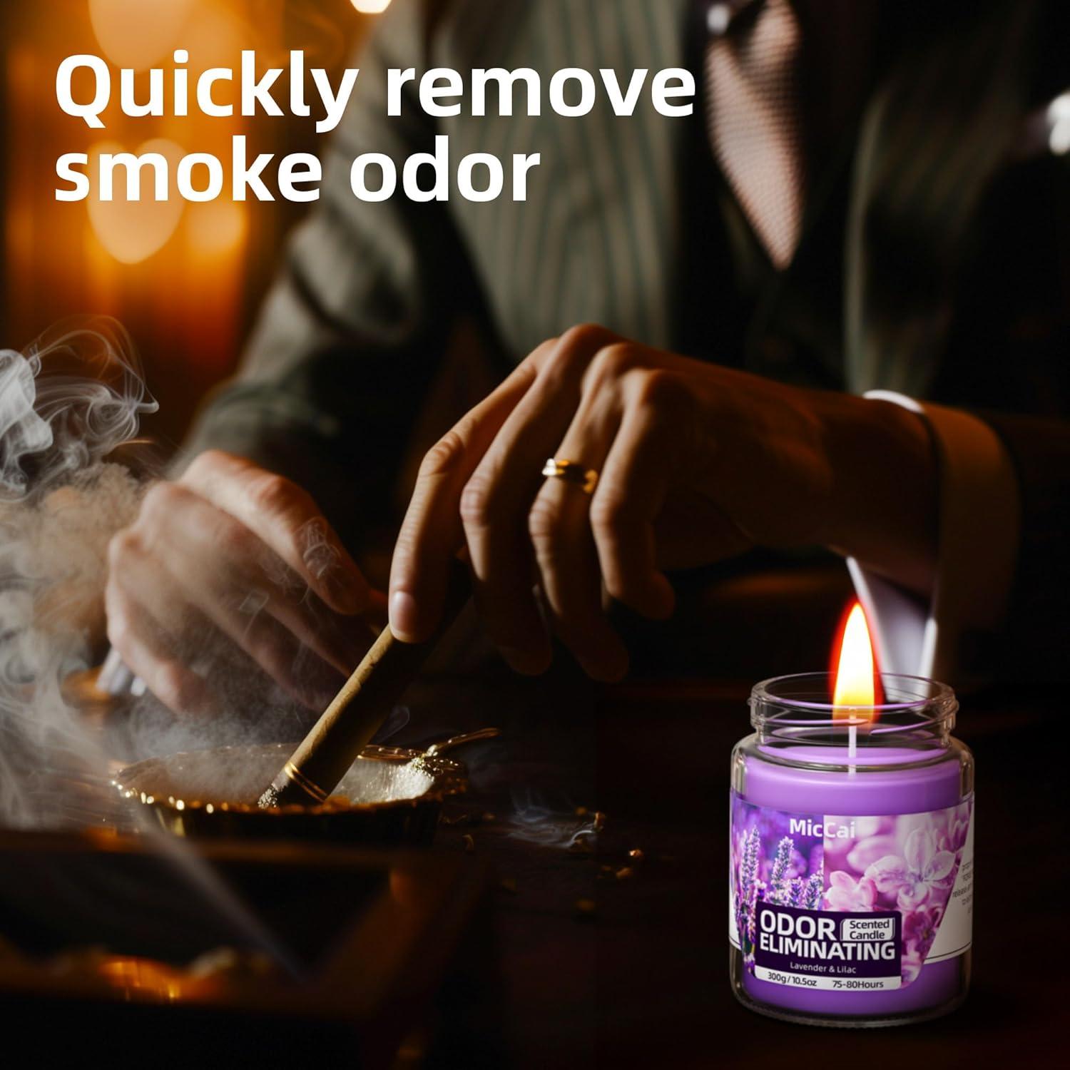 Set de Velas Desodorizantes MicCai de Soja Lavanda y Lila