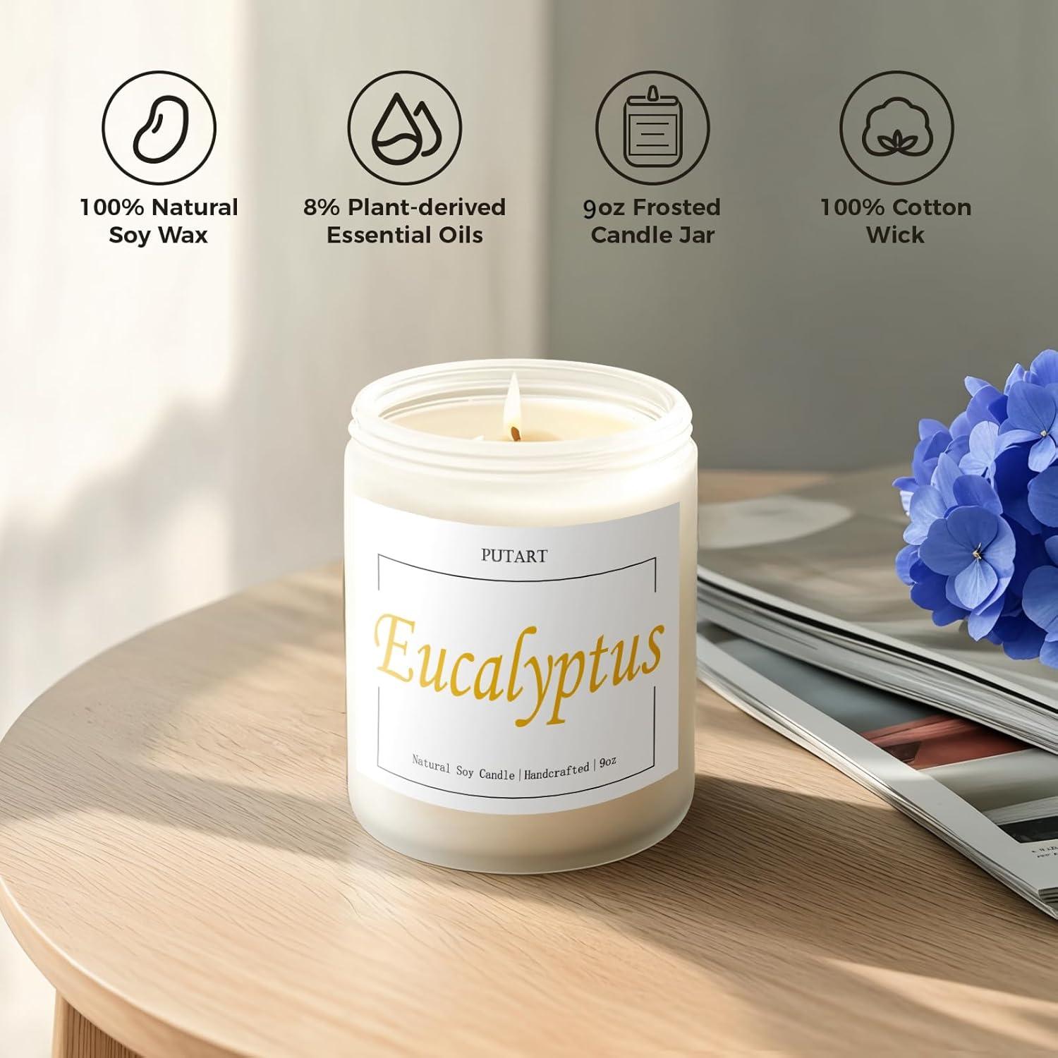 Vela Aromática de Eucalipto y Menta Putart - Cera de Soja 255g